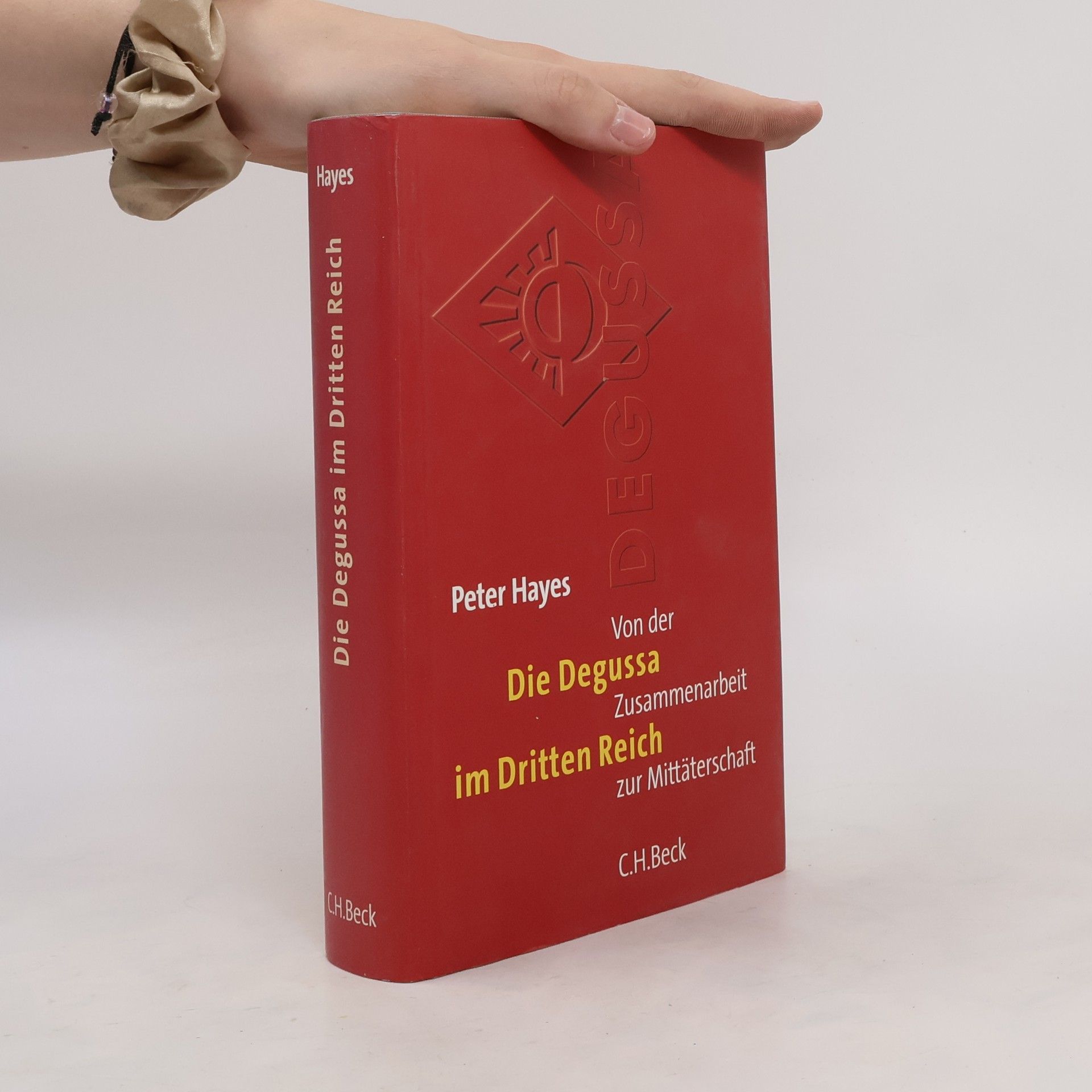 Peter Hayes Die Degussa im Dritten Reich