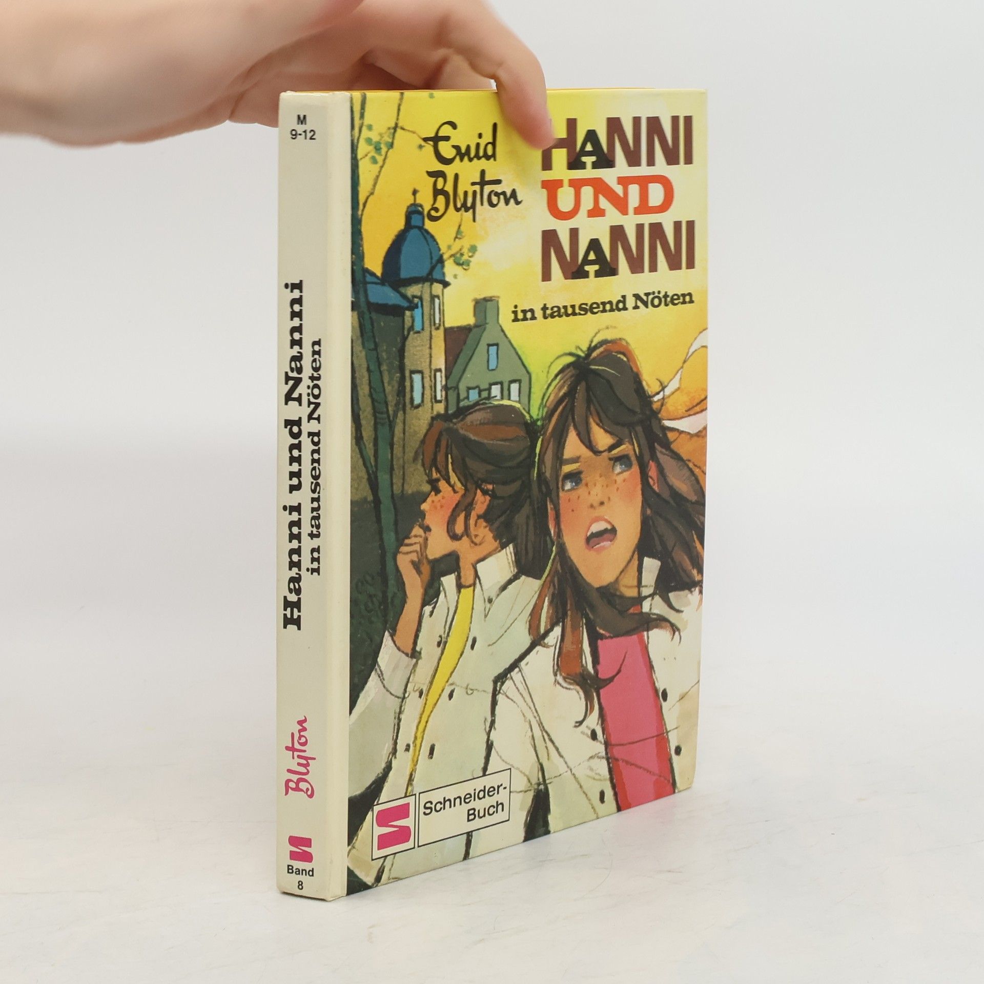 Enid Blyton Hanni und Nanni in tausend Nöten