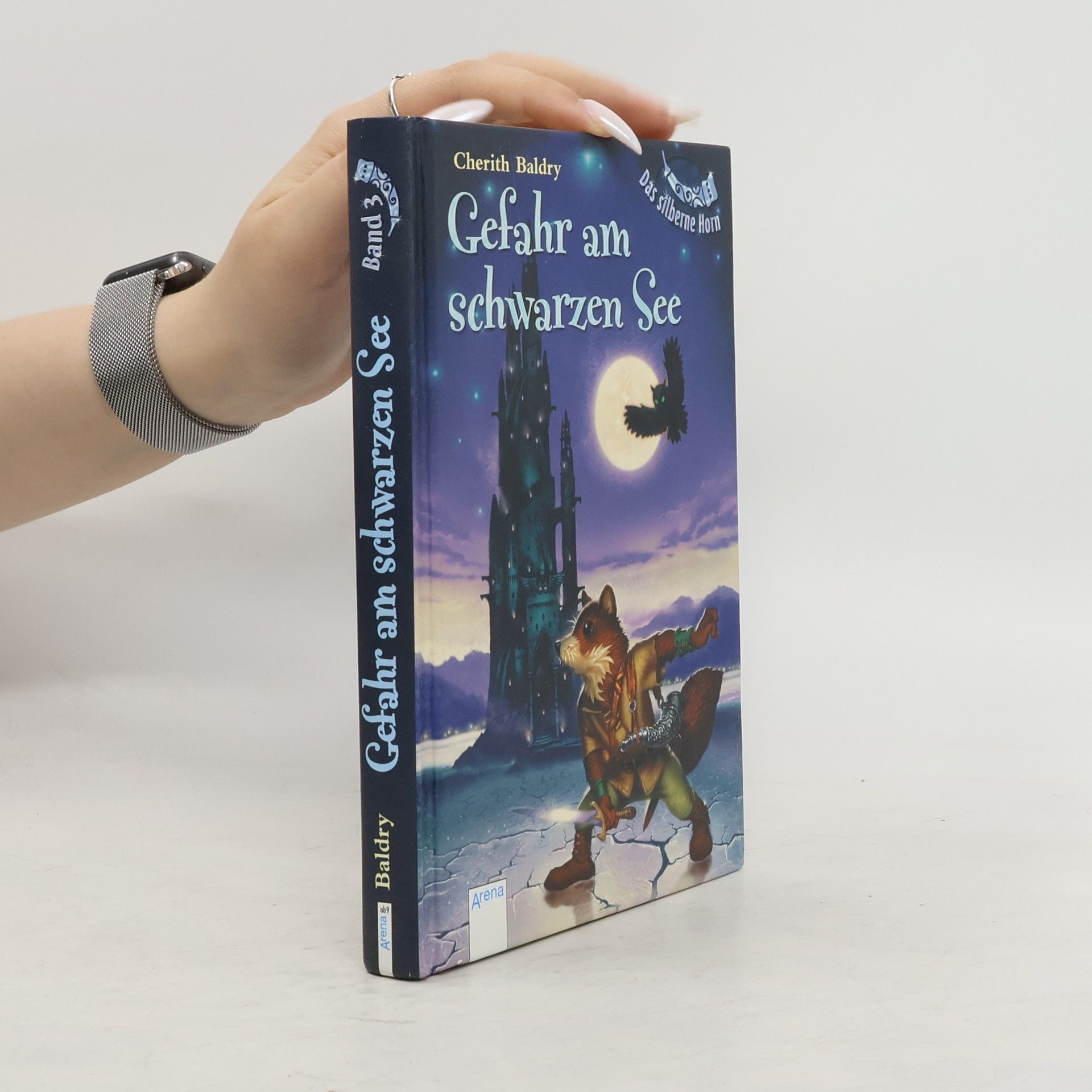 Cherith Baldry Das silberne Horn 3: Gefahr am schwarzen See