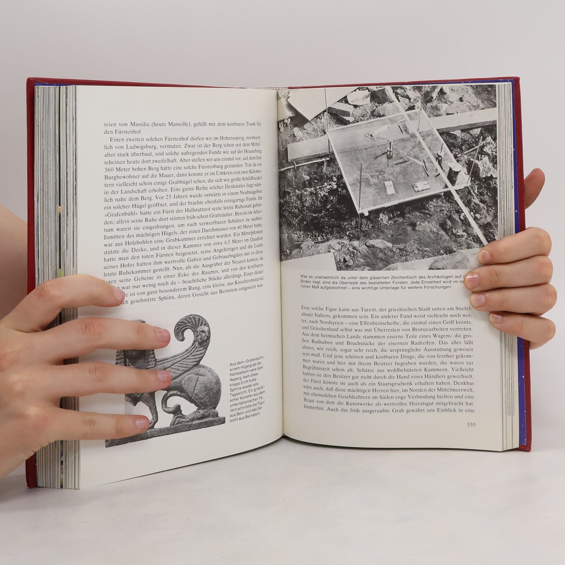 Collectif d'auteurs Das neue Universum 96