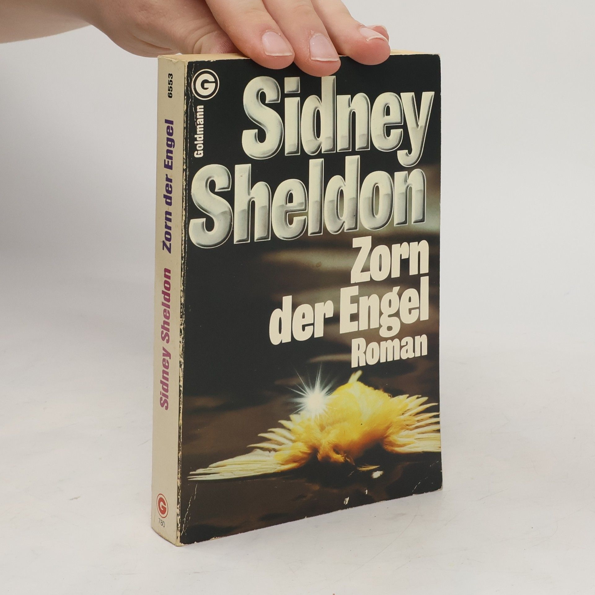 Sidney Sheldon Zorn der Engel
