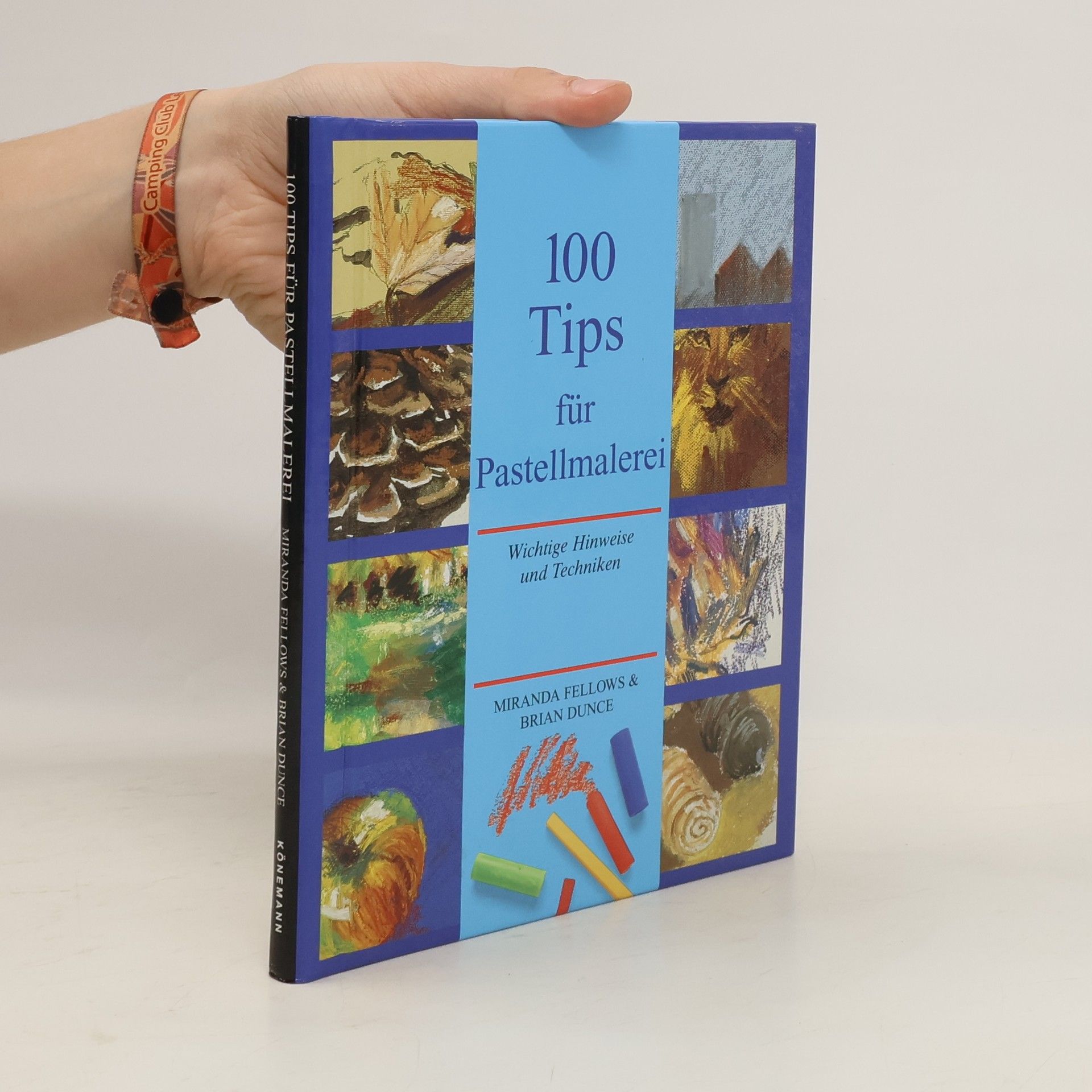 Miranda Fellows 100 Tips für Pastellmalerei