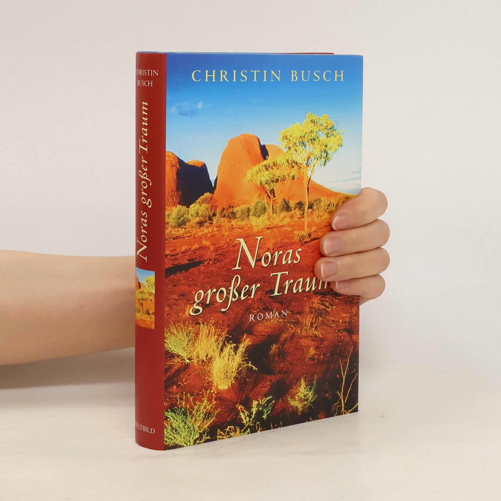 Christin Busch Noras großer Traum
