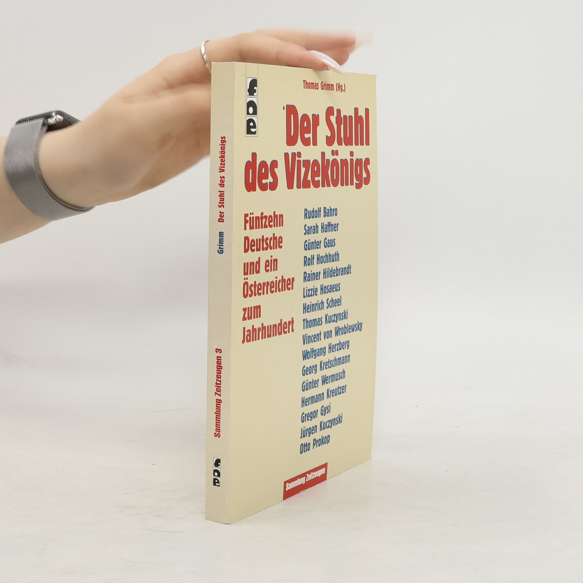 Thomas Grimm Der Stuhl des Vizekönigs