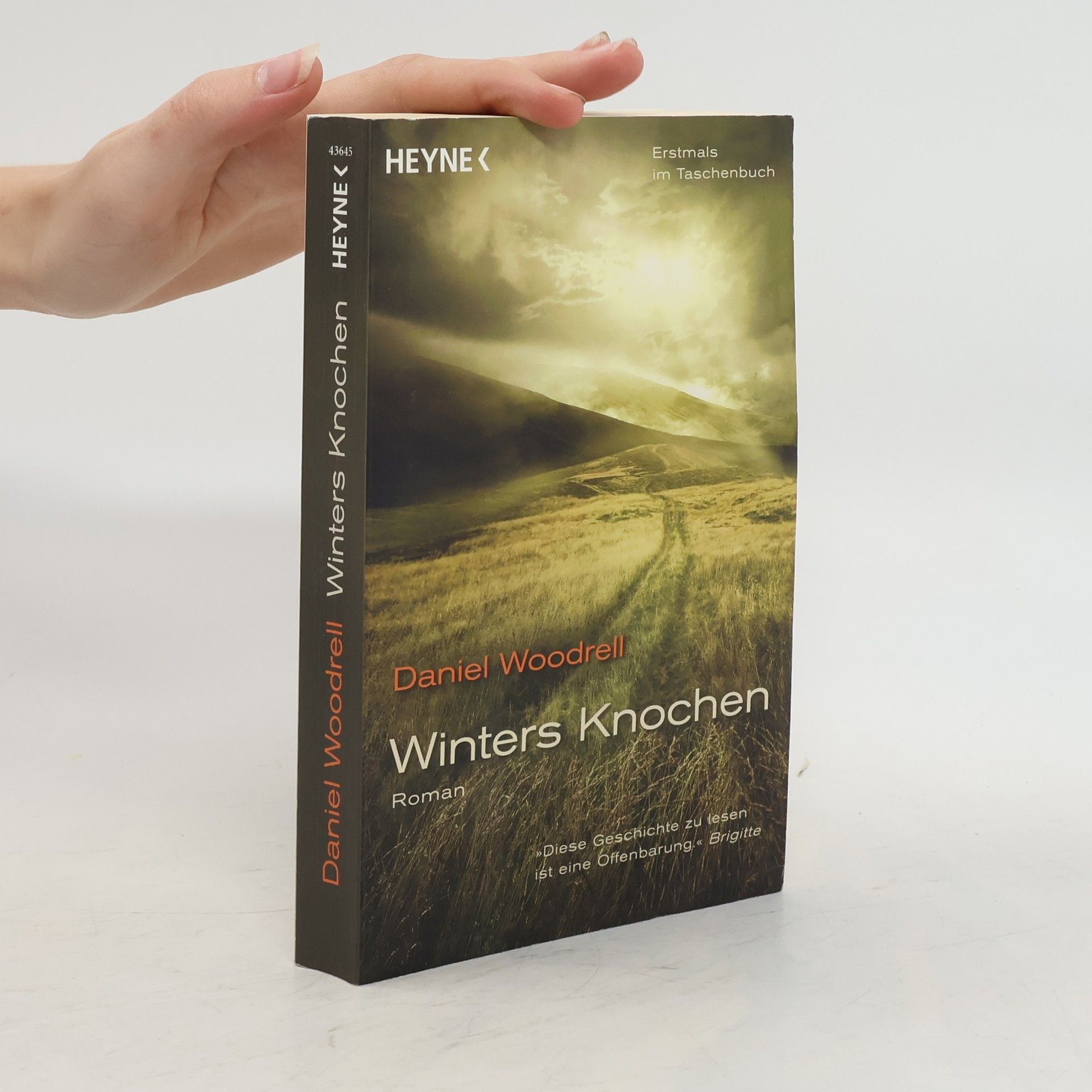 Daniel Woodrell Im Süden