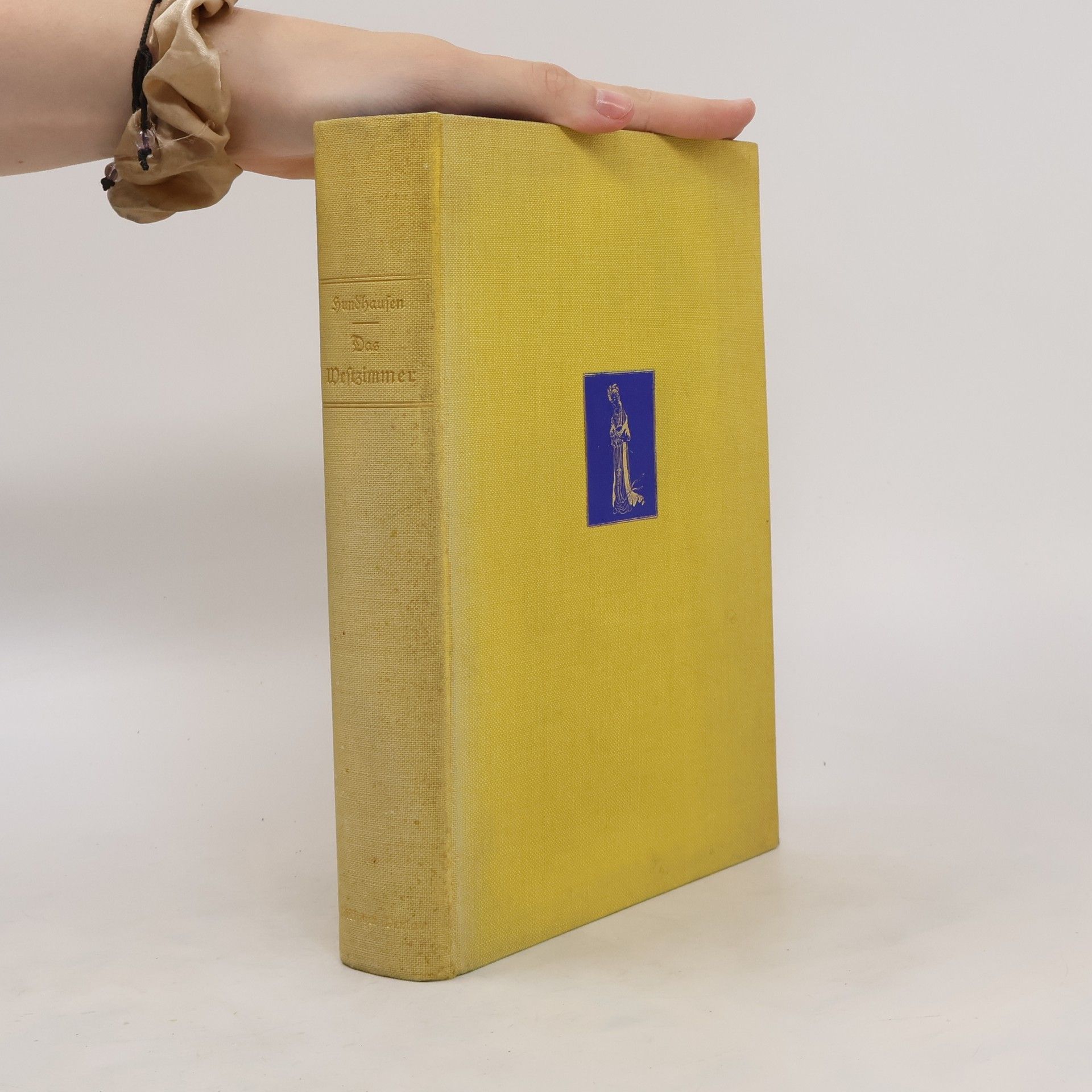 Vincenz Hundhausen Das Welt zimmer