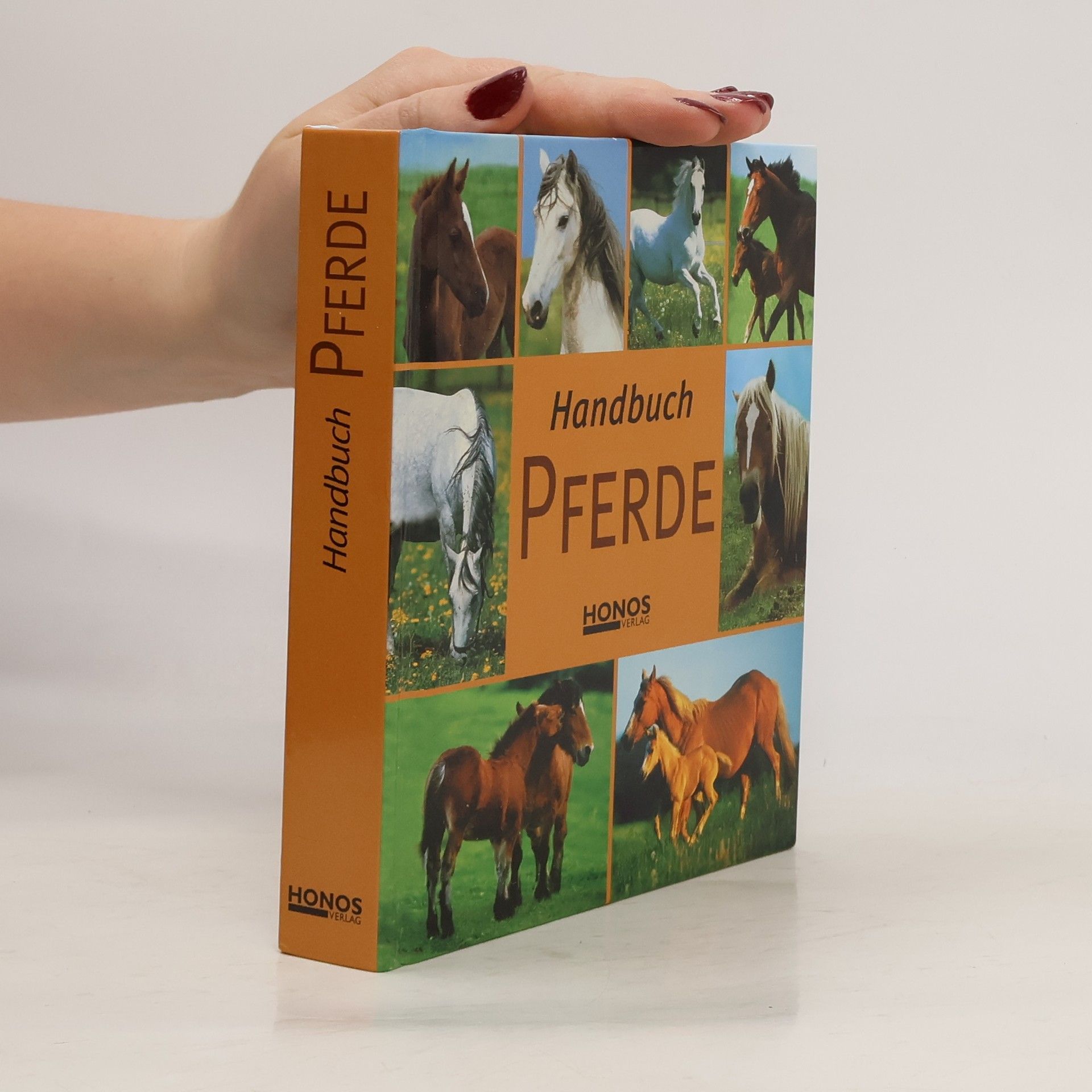 Autorenkollektiv Handbuch Pferde