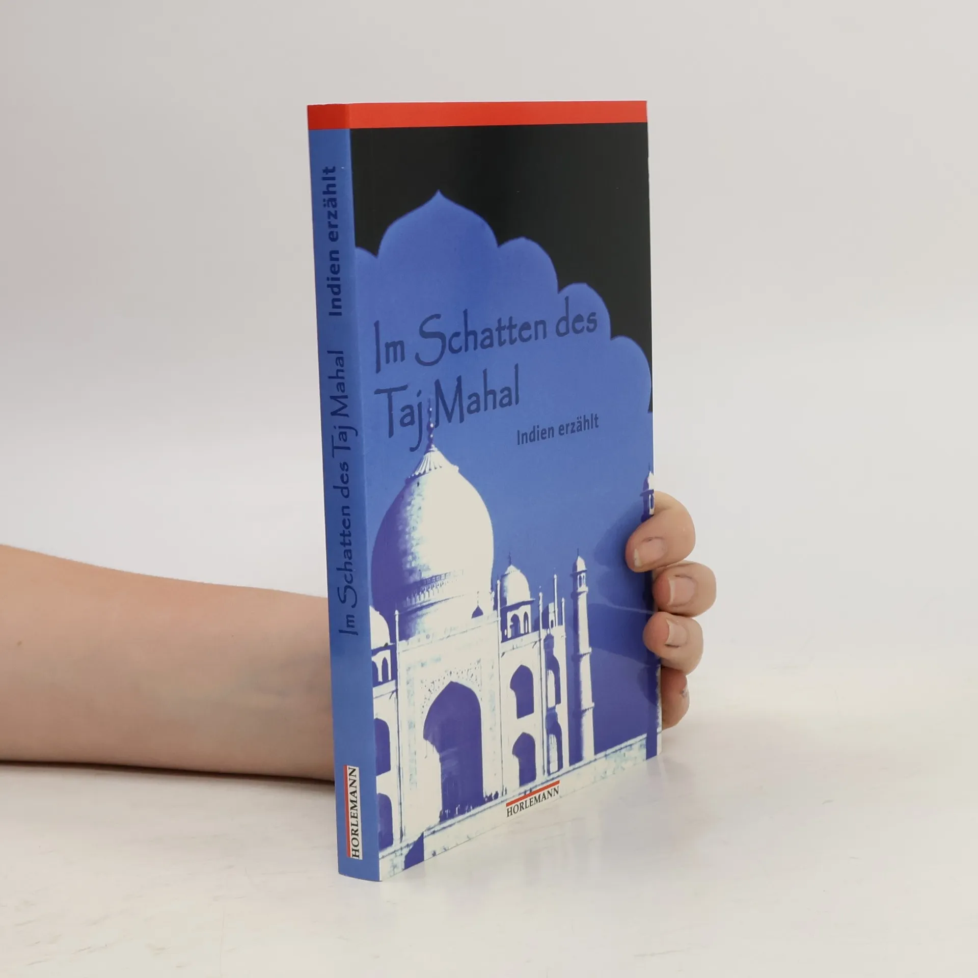 Im Schatten des Taj Mahal | Libro | Asok Punnamparambil | DE