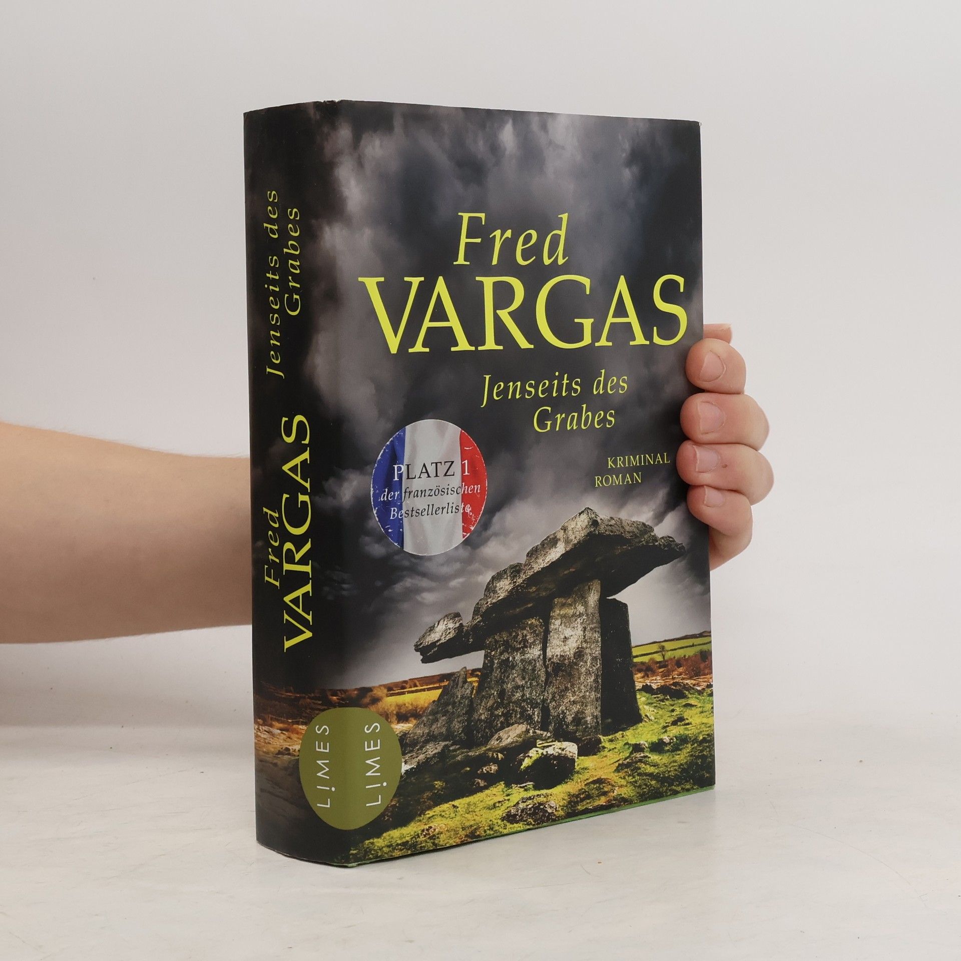 Fred Vargas Jenseits des Grabes