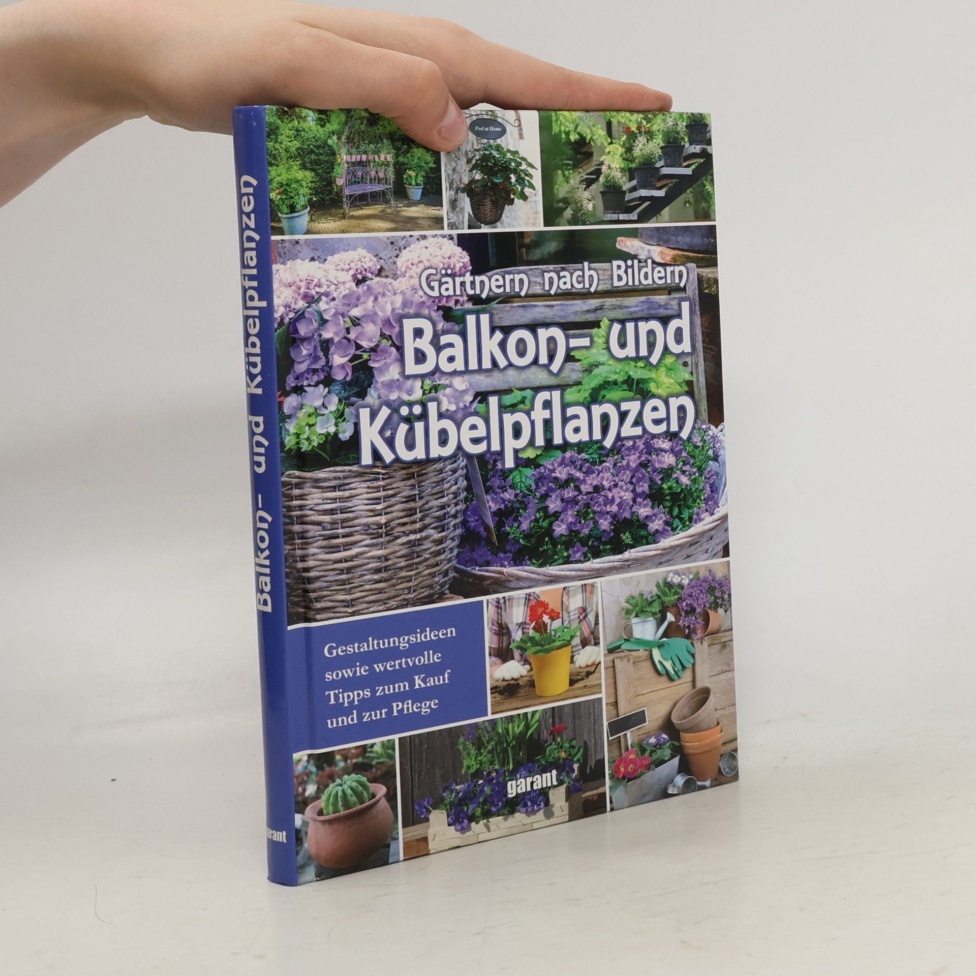 Iris Ottinger Gärtnern nach Bildern - Balkon- und Kübelpflanzen