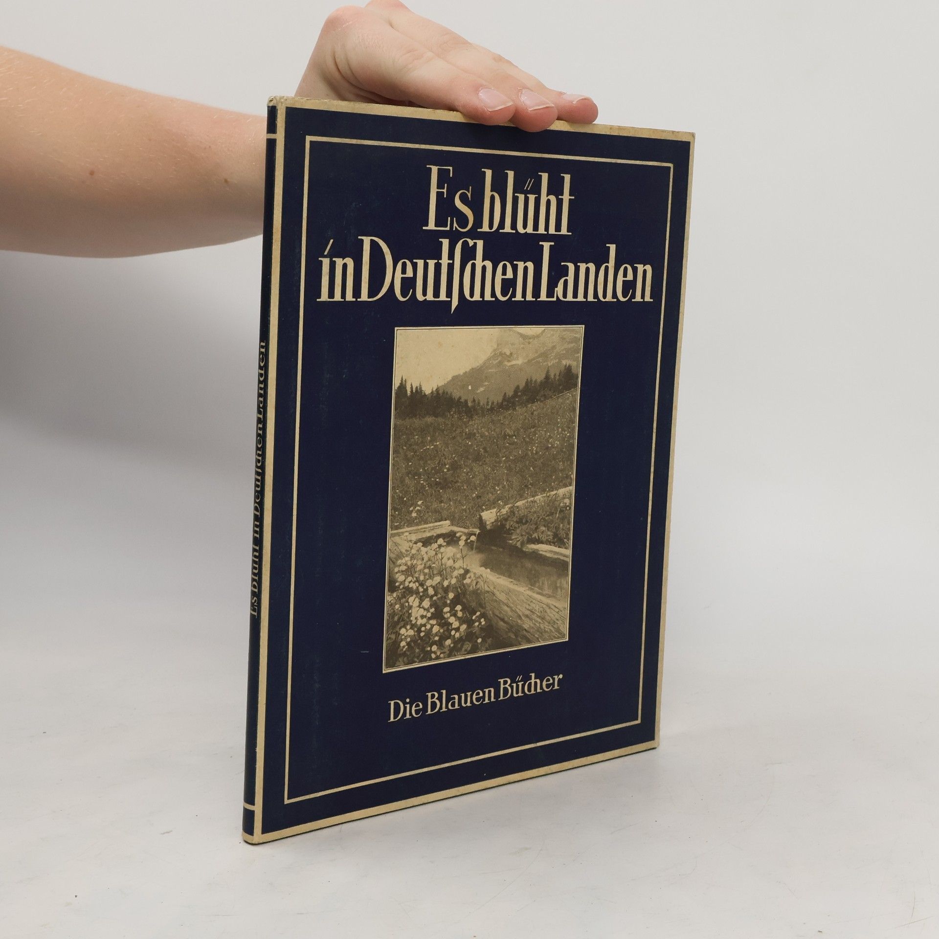 Karl Robert Langewiesche Es blüht in Deutschen Landen