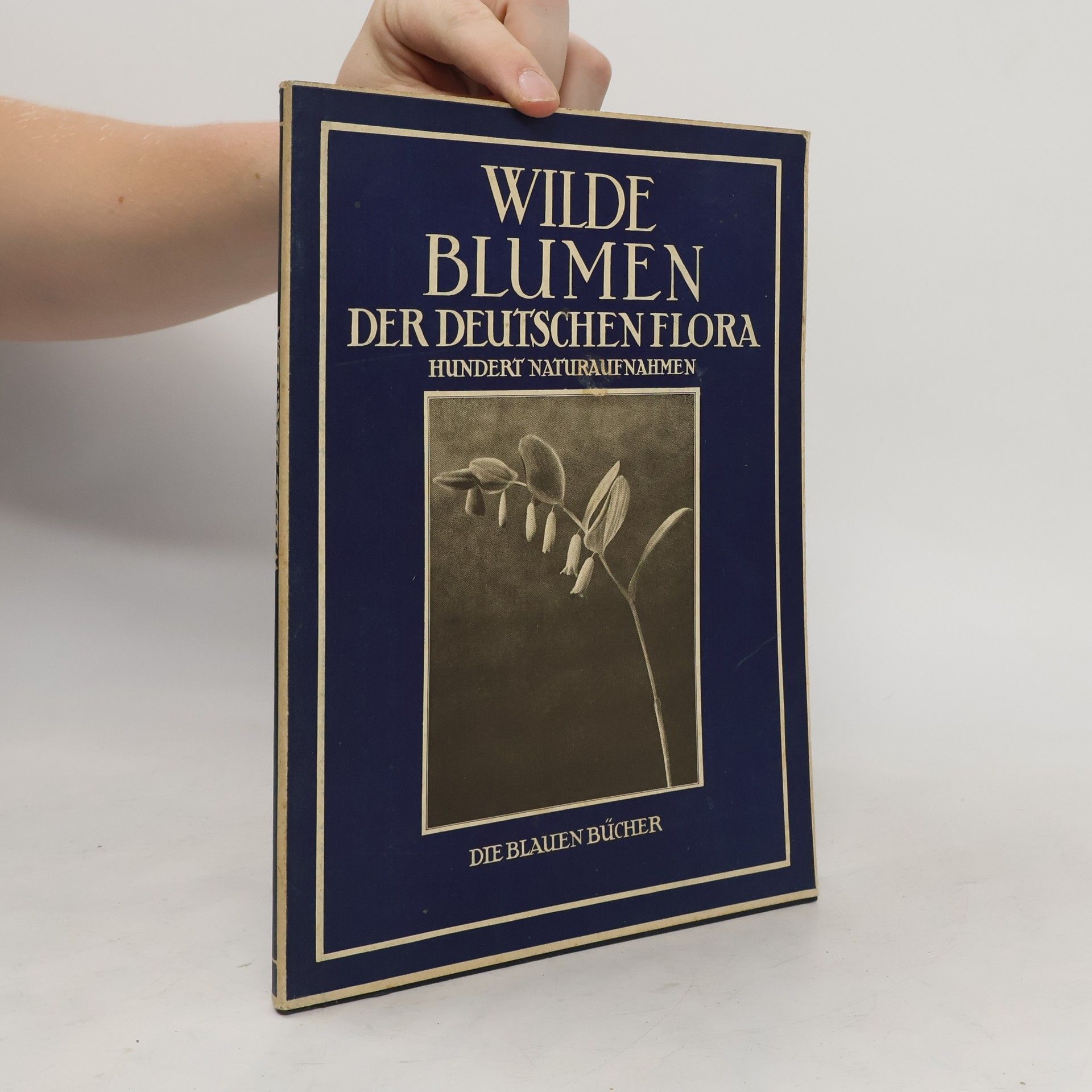 Autores varios Wilde Blumen der Deutschen Flora