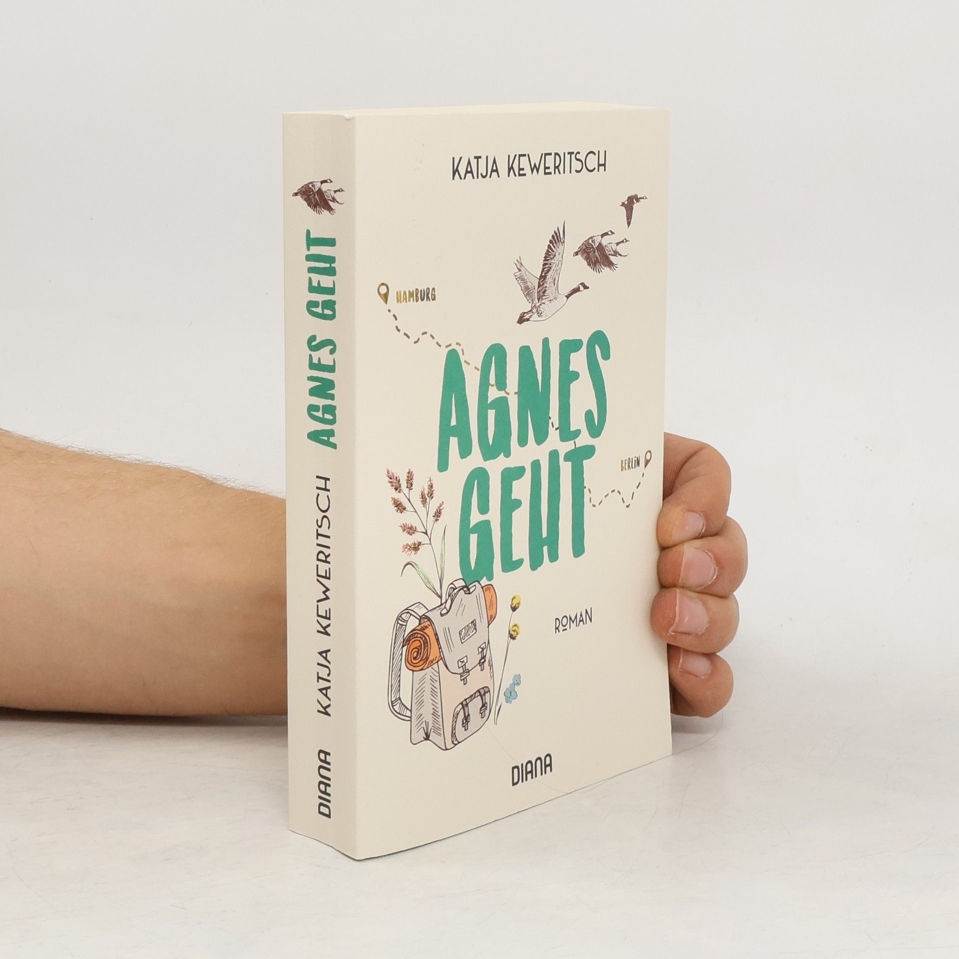 Katja Keweritsch Agnes geht