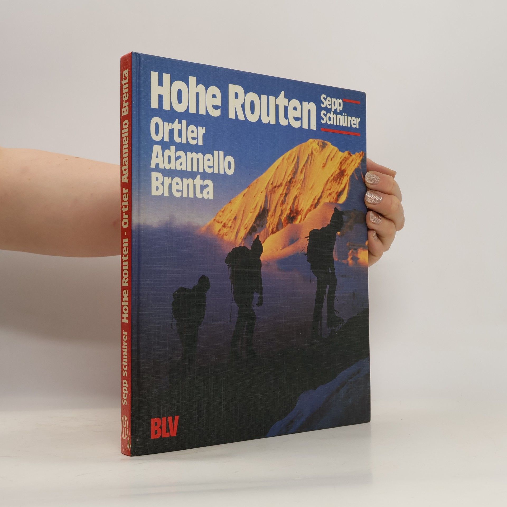 Sepp Schnürer Hohe Routen Ortler, Adamello, Brenta
