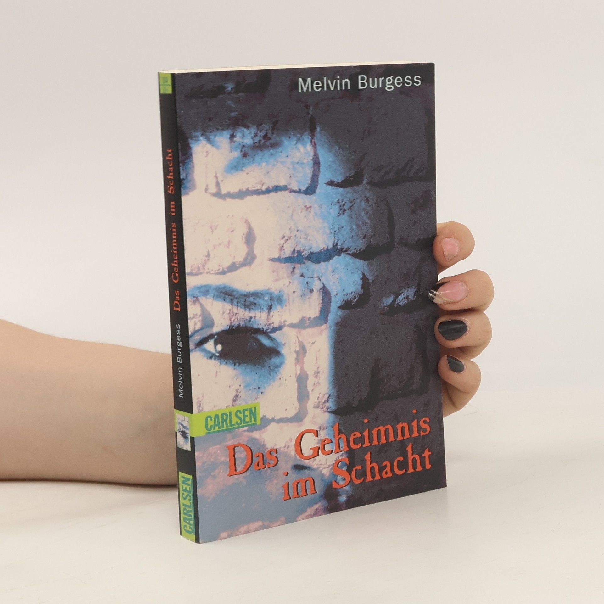 Melvin Burgess Das Geheimnis im Schacht