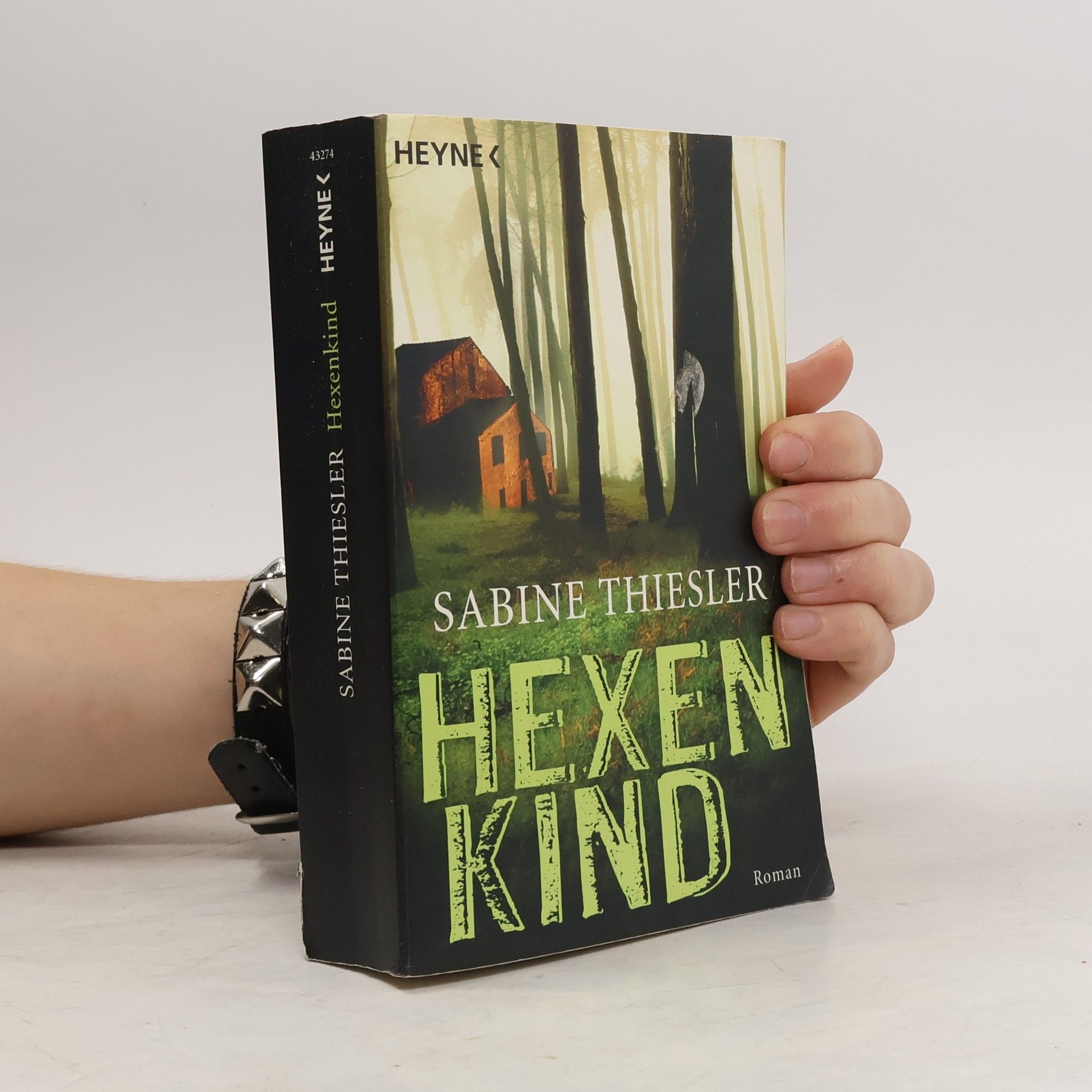 Sabine Thiesler Hexenkind - Roman