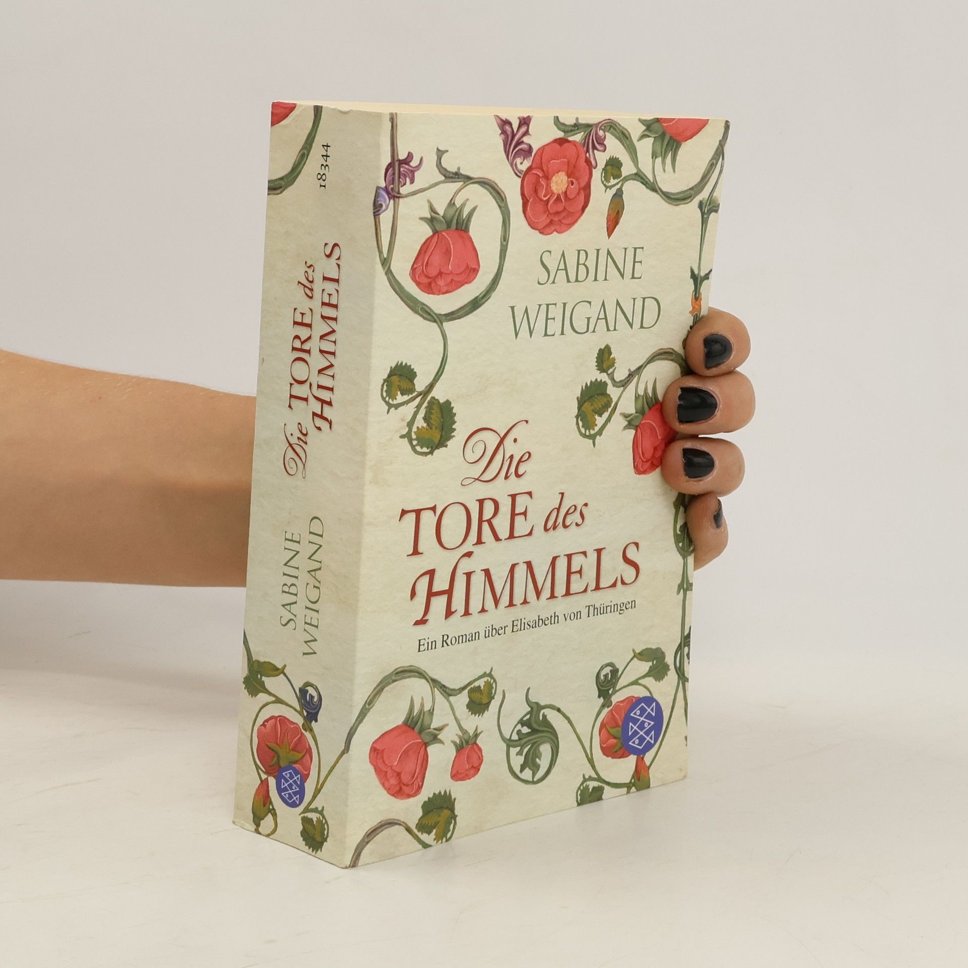Sabine Weigand Die Tore des Himmels
