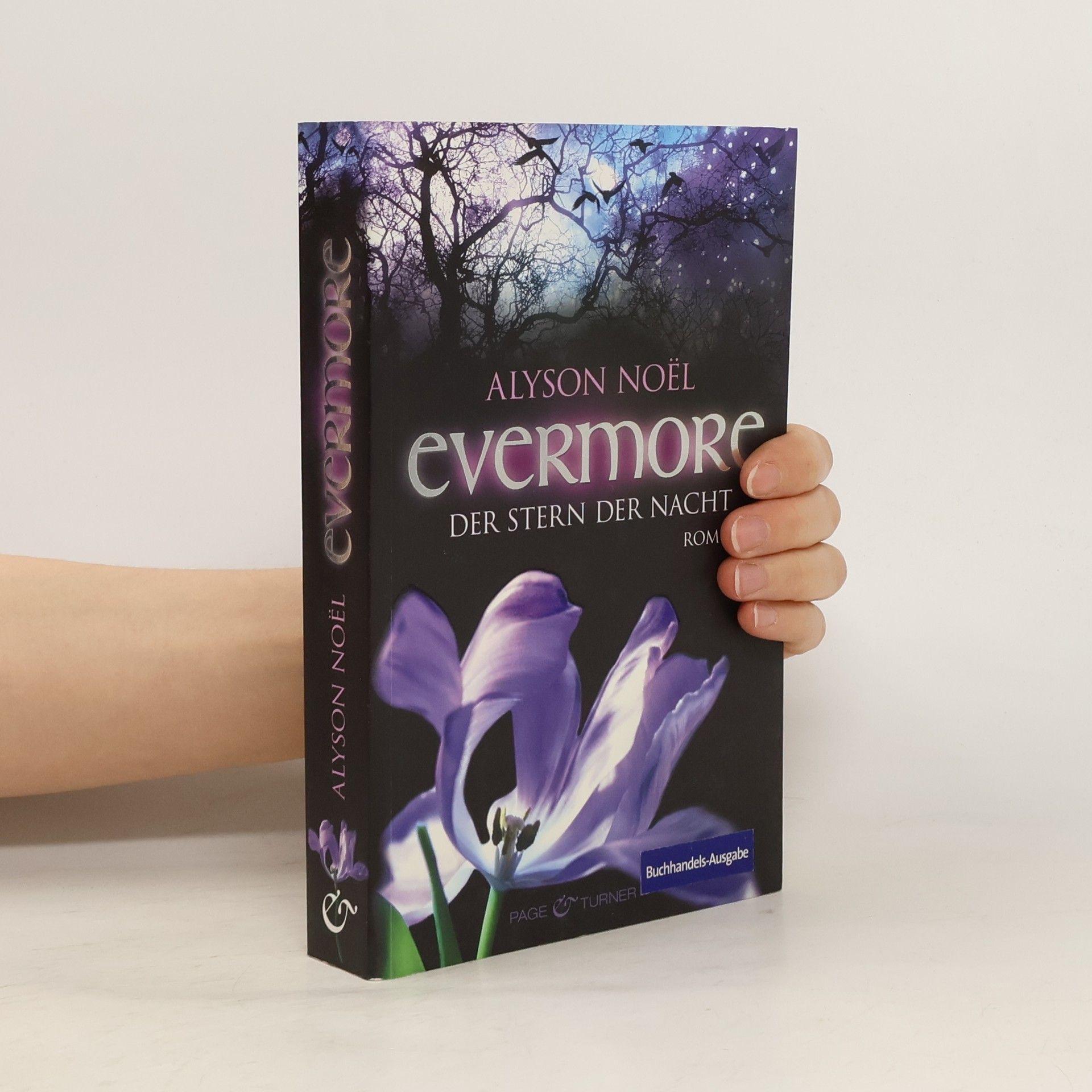 Alyson Noël Evermore: Der Stern der Nacht