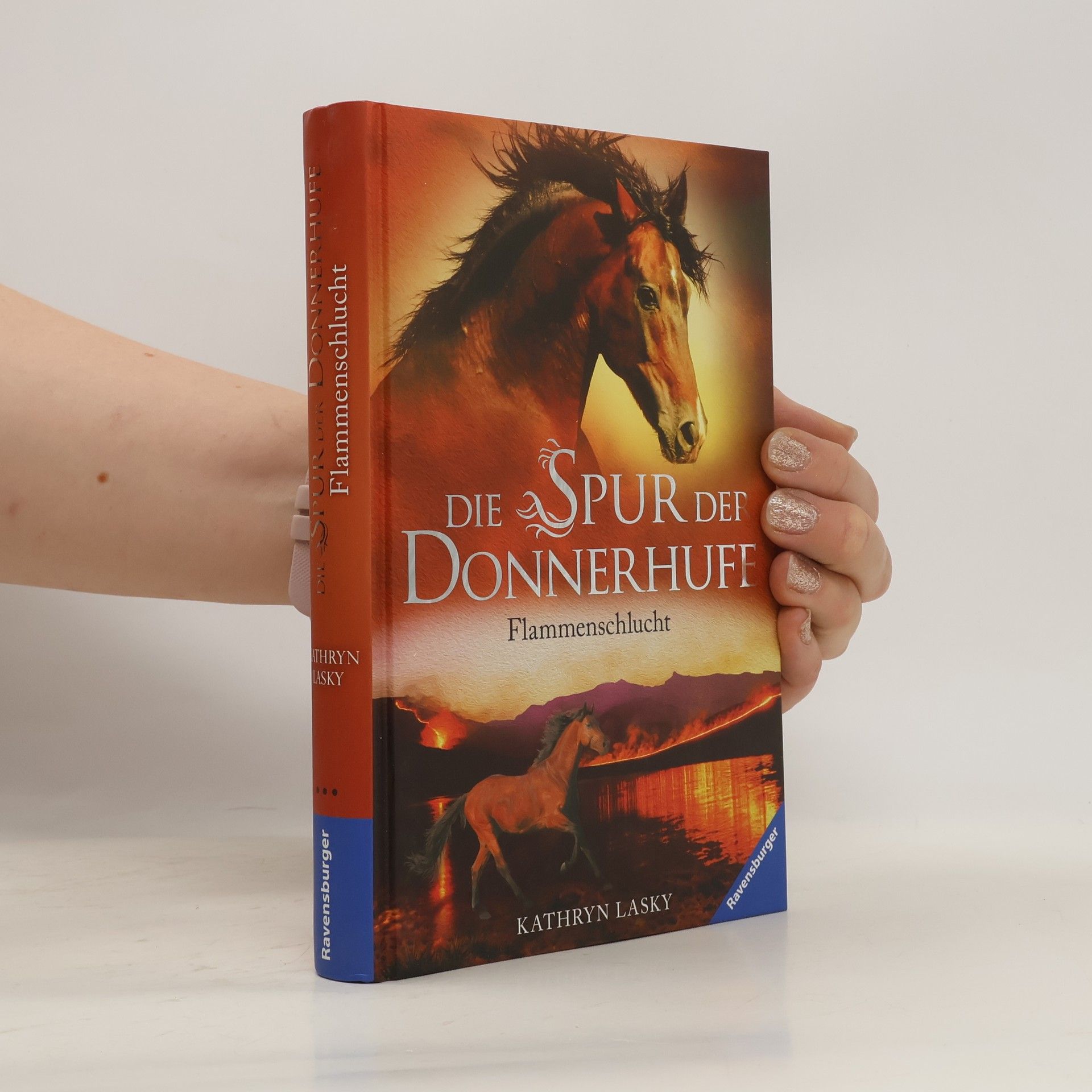 Kathryn Lasky Knight Die Spur der Donnerhufe. Band 1: Flammenschlucht.