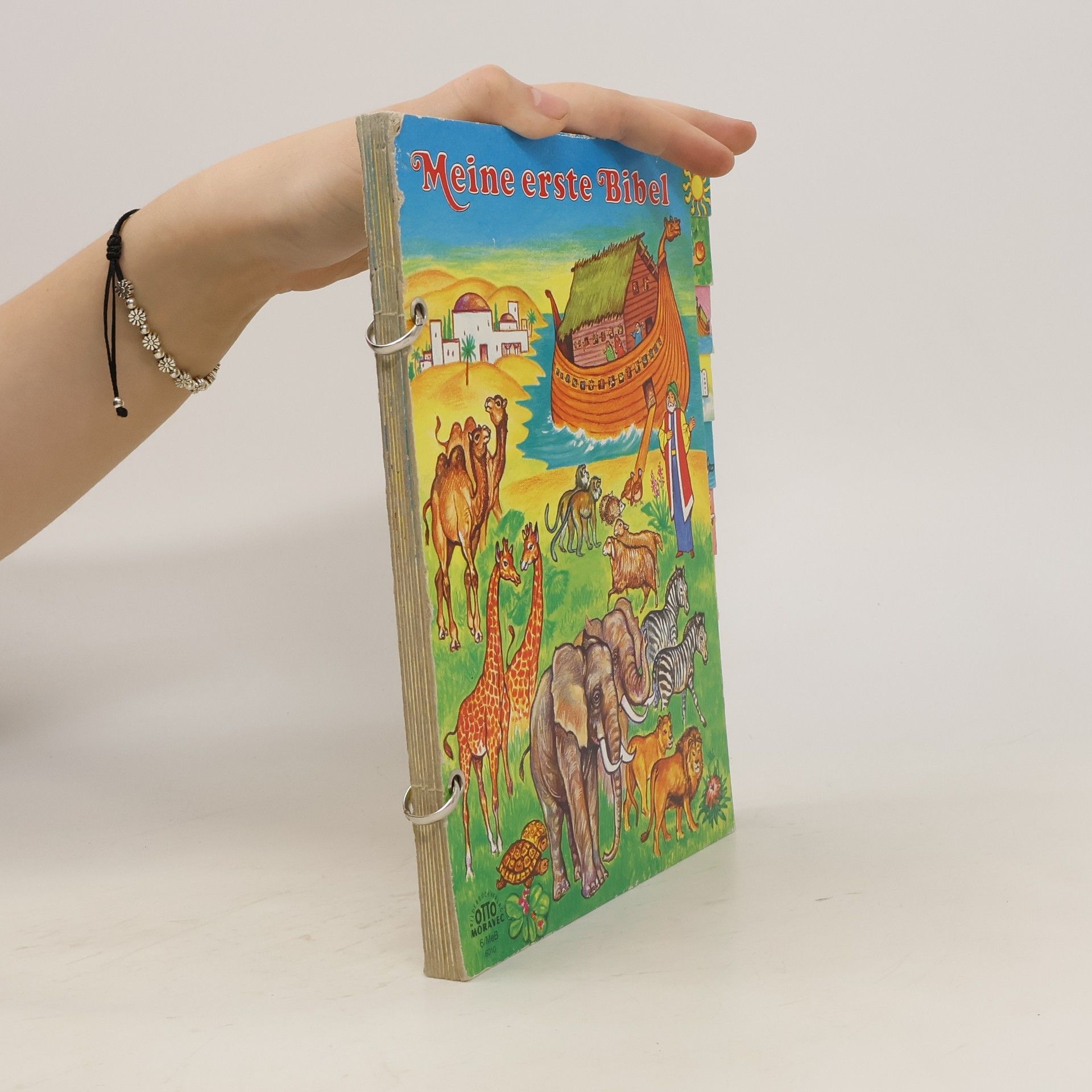 Autorenkollektiv Meine erste Bibel