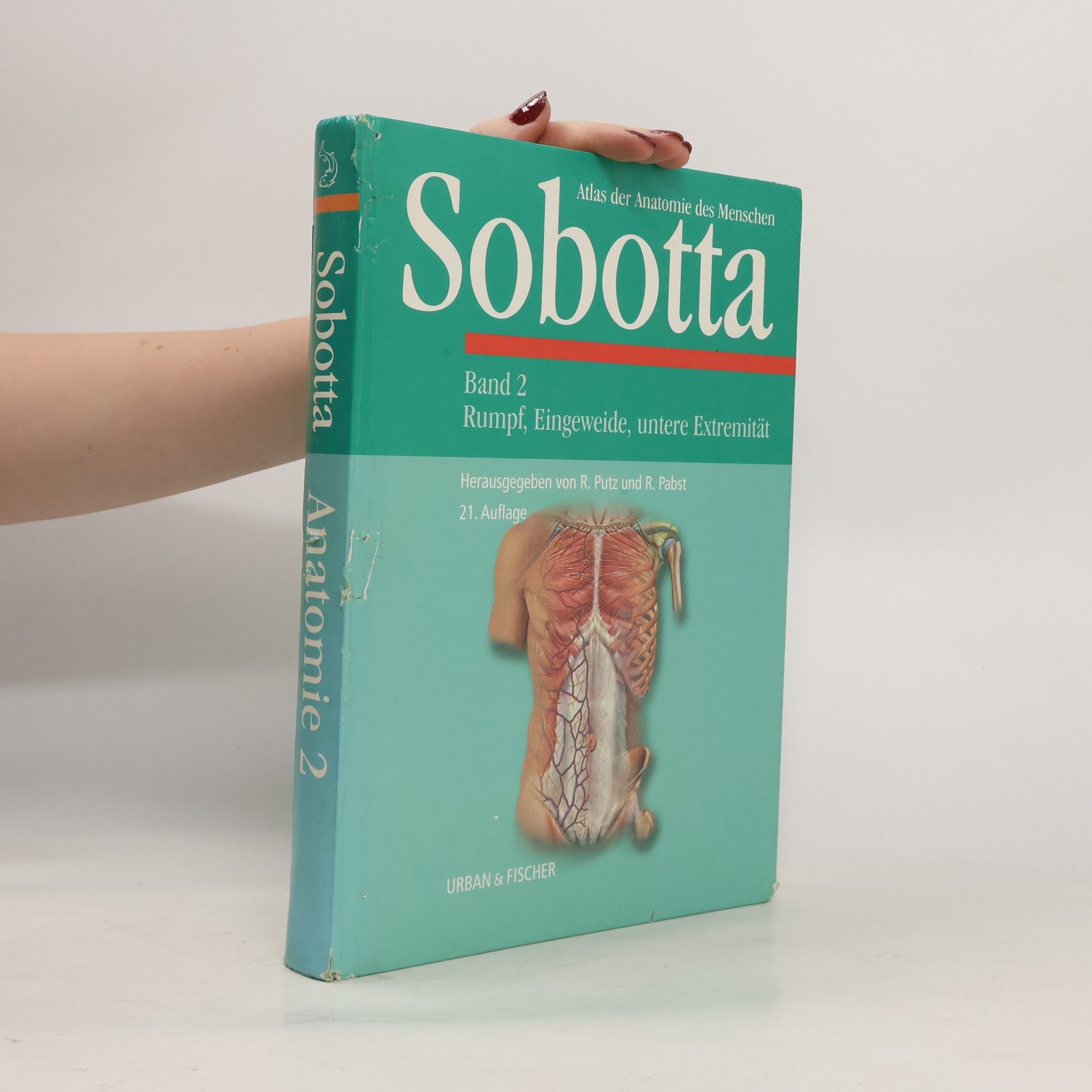 Johannes Sobotta Anatomie 2 - Rumpf, Eingeweide, untere Extremität