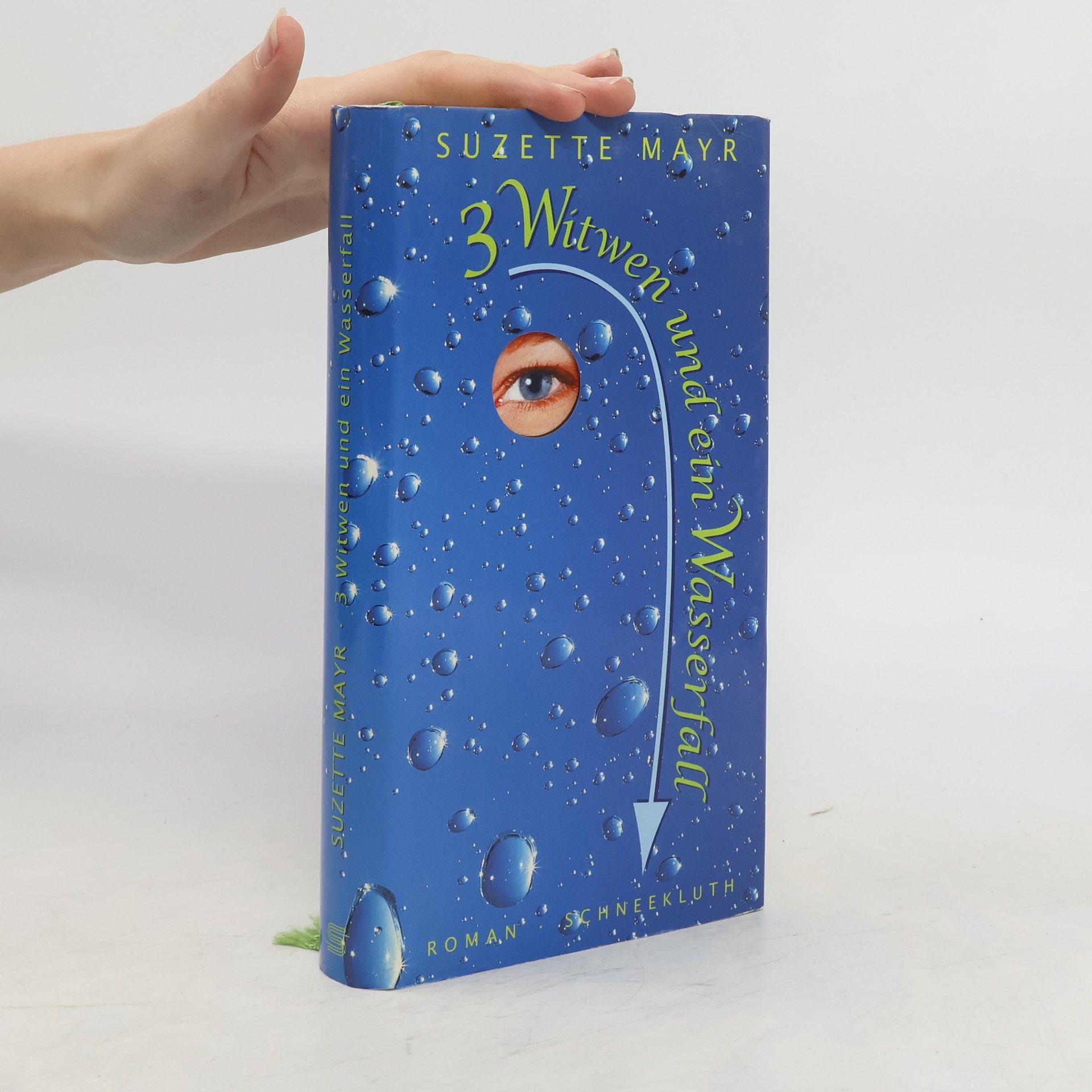 Suzette Mayr Drei Witwen und ein Wasserfall