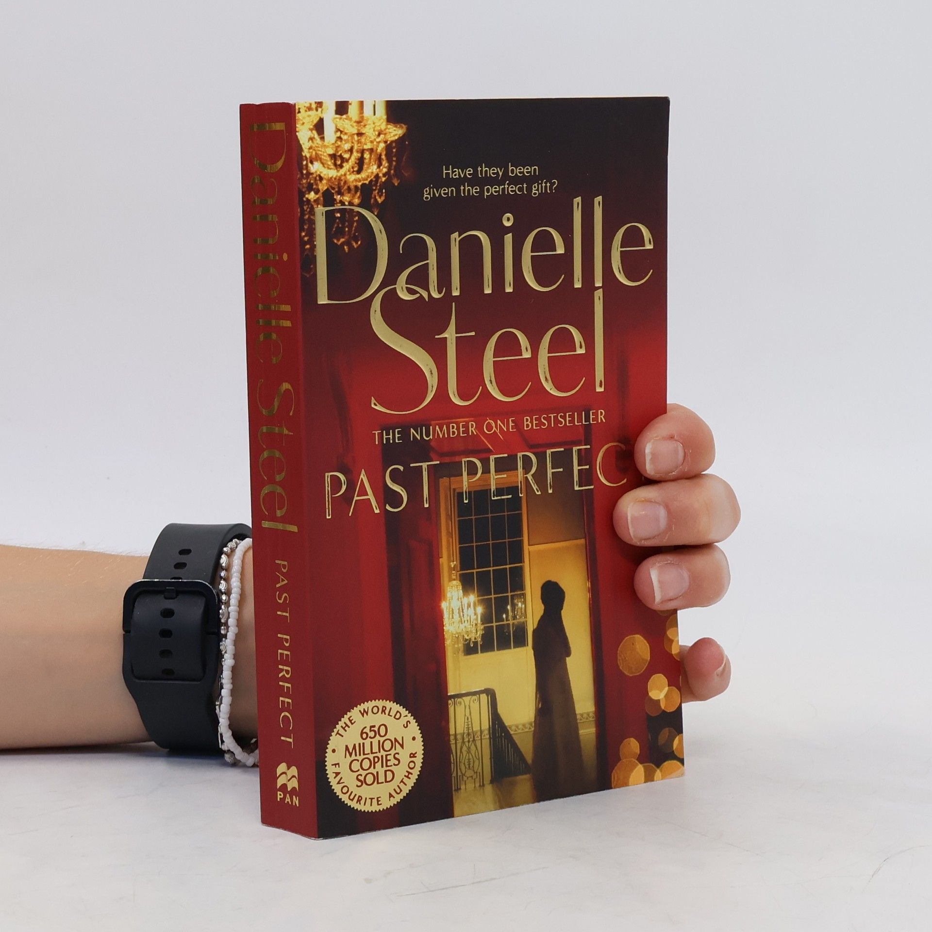 Danielle Steel Past Perfect