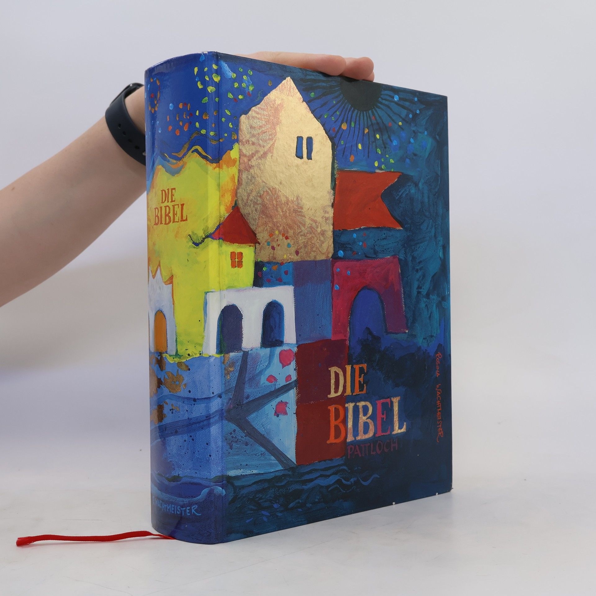 Vinzenz Hamp Die Bibel