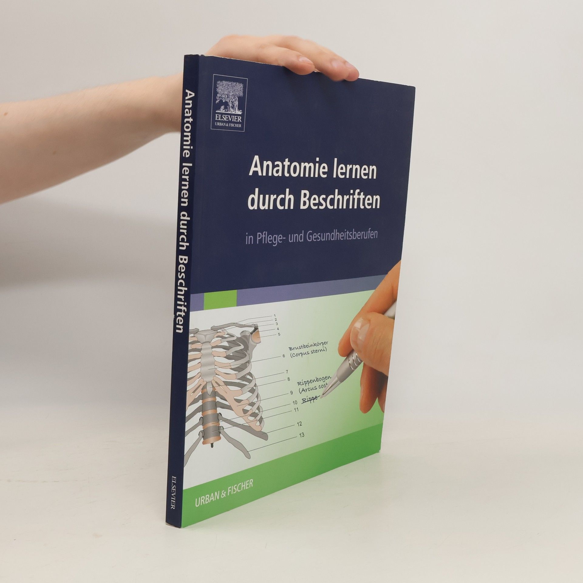 Anna-Marie Salaja Anatomie lernen durch Beschriften