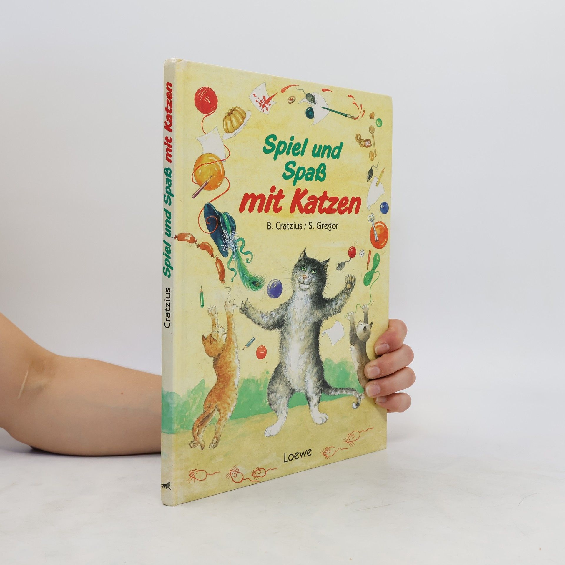 kolektiv Spiel und Spass mit Katzen
