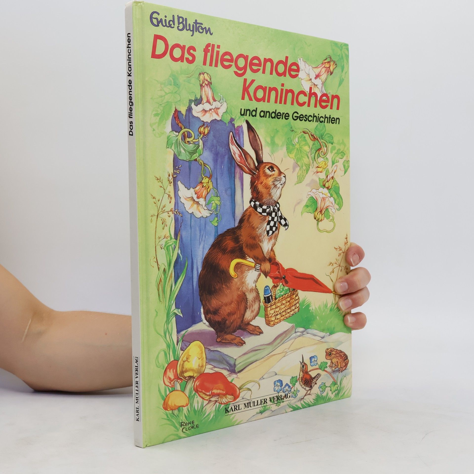 Enid Blyton Das fliegende Kaninchen und andere Geschichten