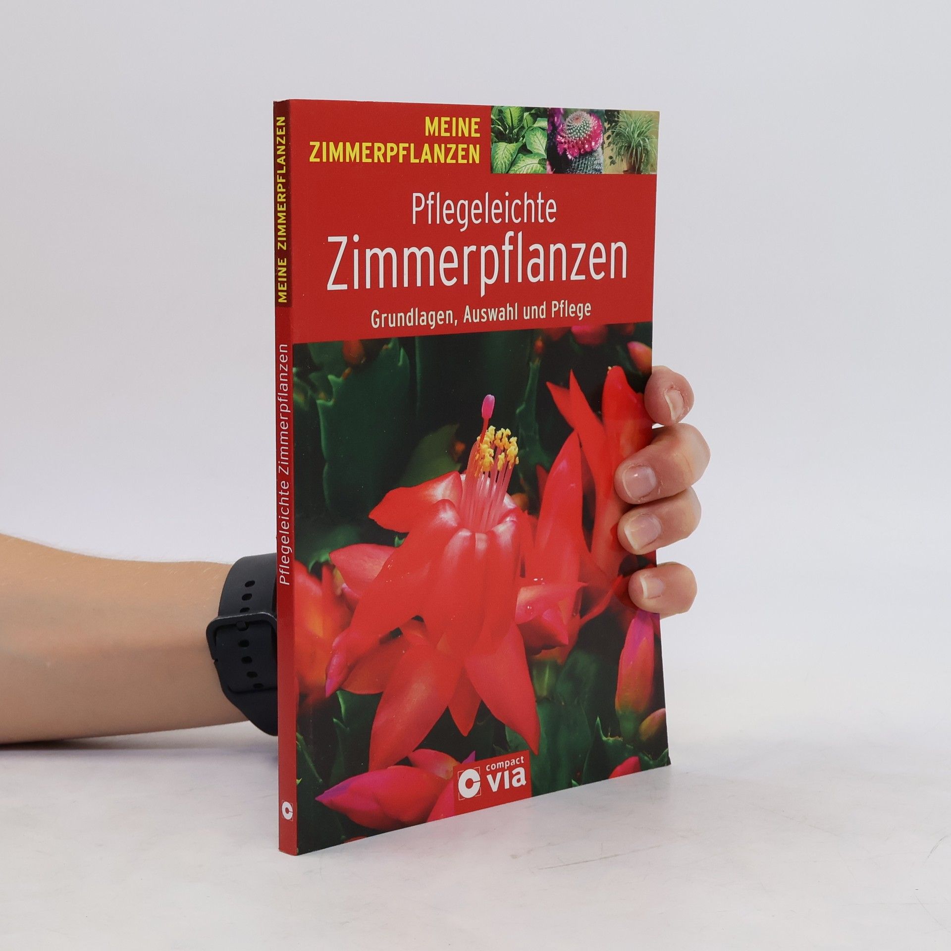 Uschi Dyball Pflegeleichte Zimmerpflanzen