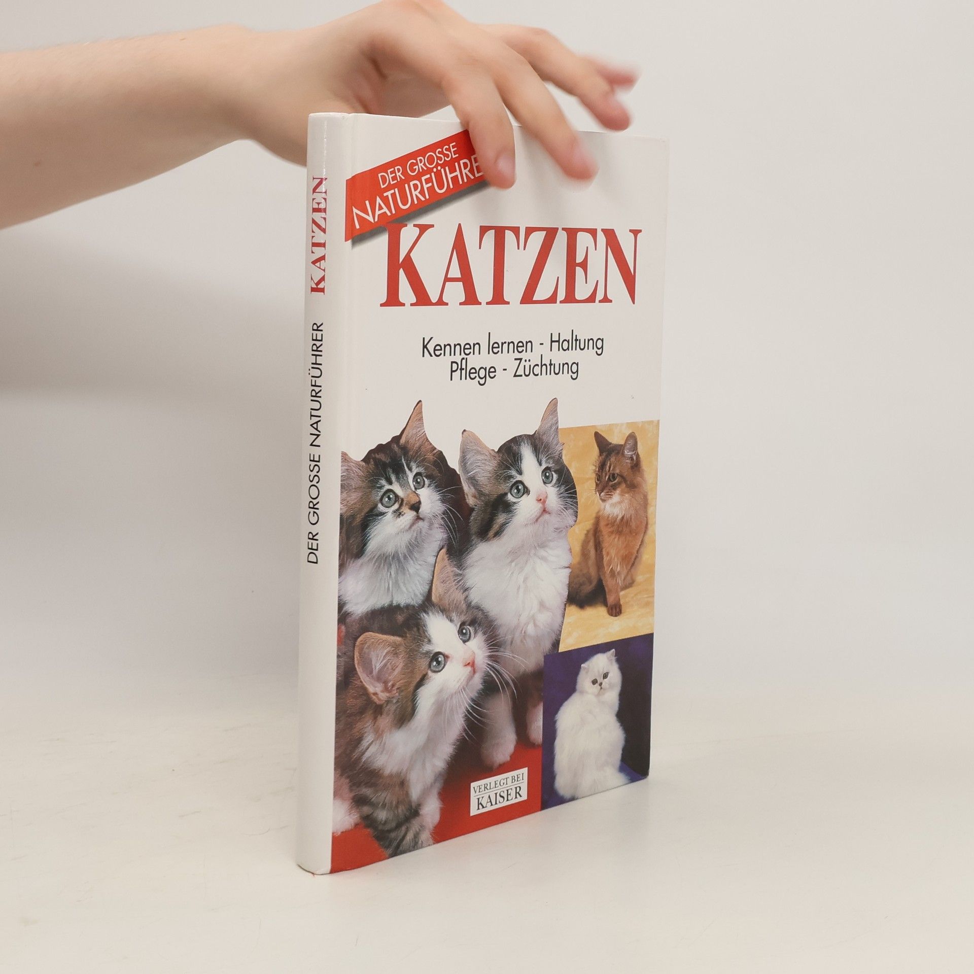 kolektiv Der Grosse Naturführer Katzen