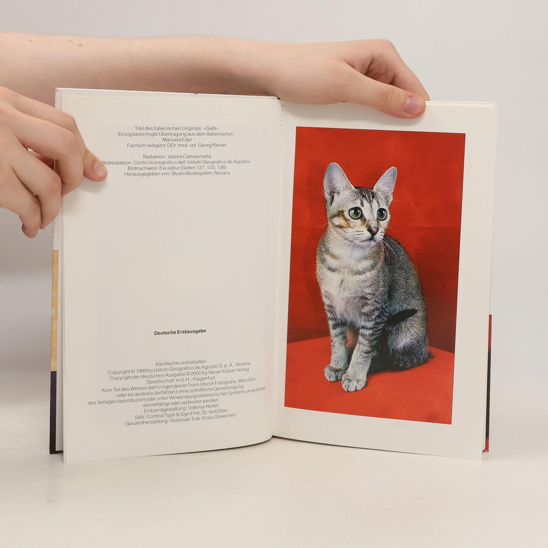 kolektiv Der Grosse Naturführer Katzen