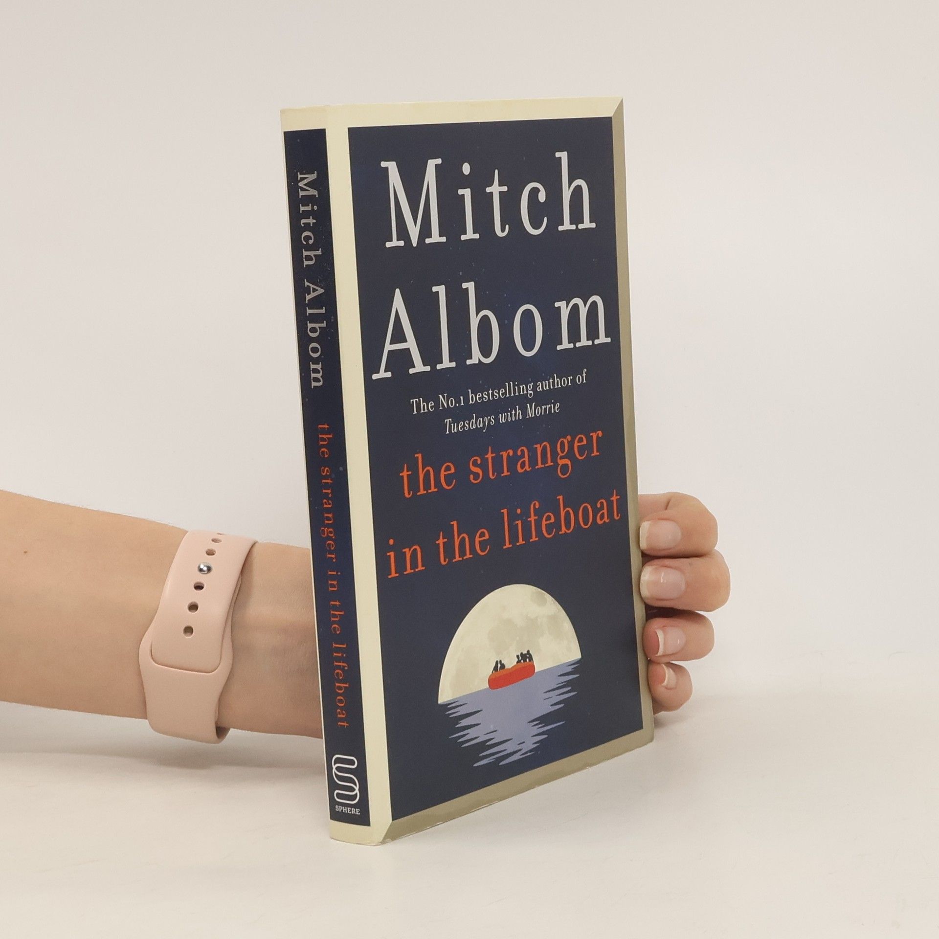 Mitch Albom The Stranger in the Lifeboat