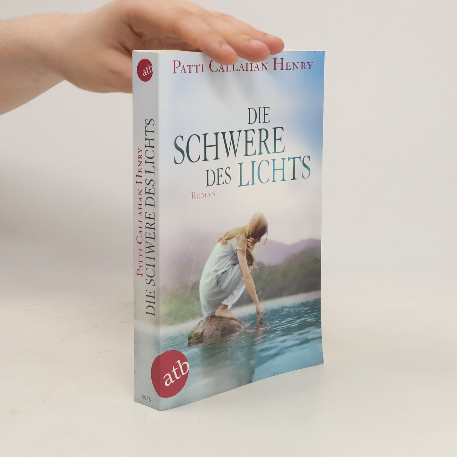 Patti Callahan Henry Die Schwere des Lichts