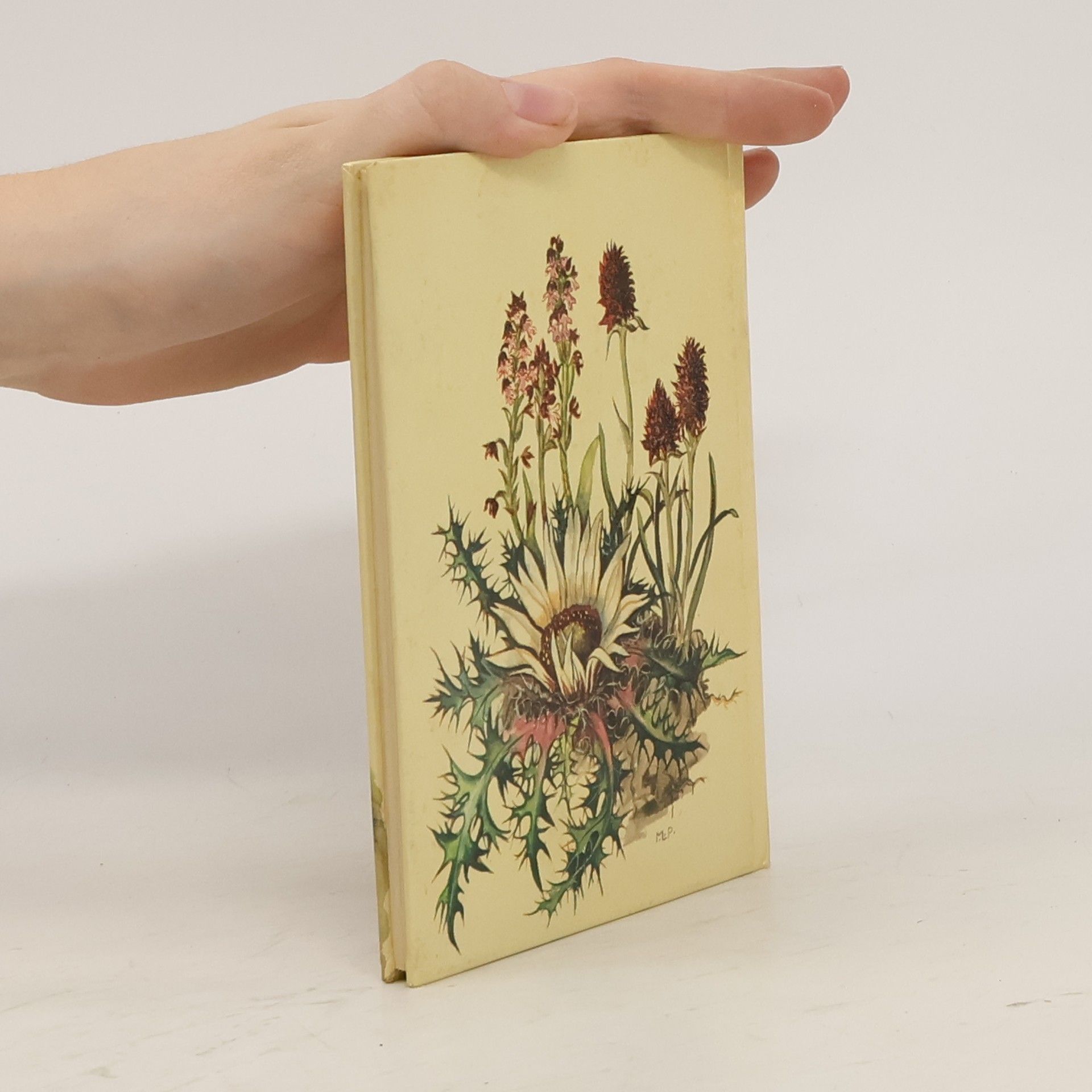 Karl Heinrich Waggerl Die schönsten Alpenblumen