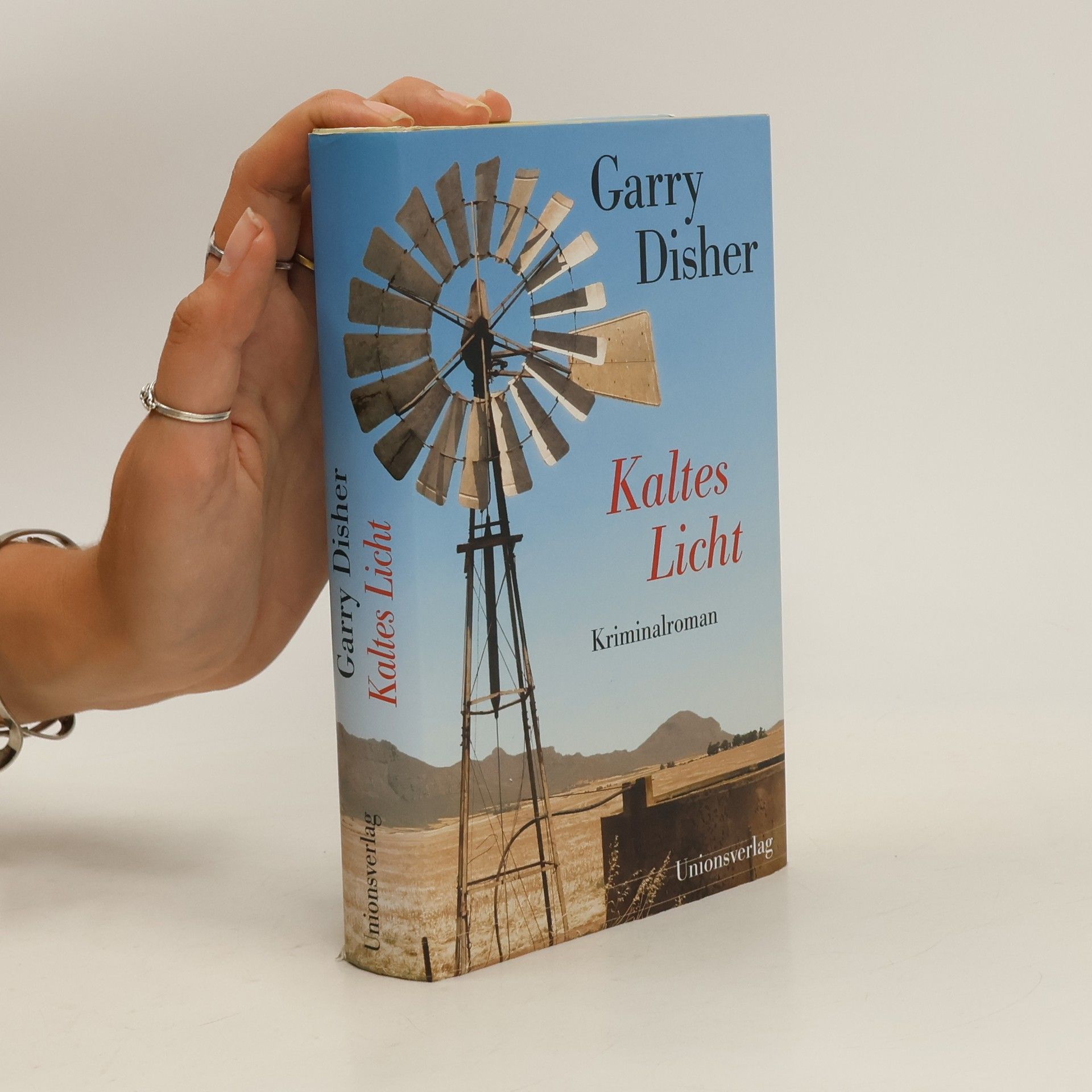 Garry Disher Kaltes Licht