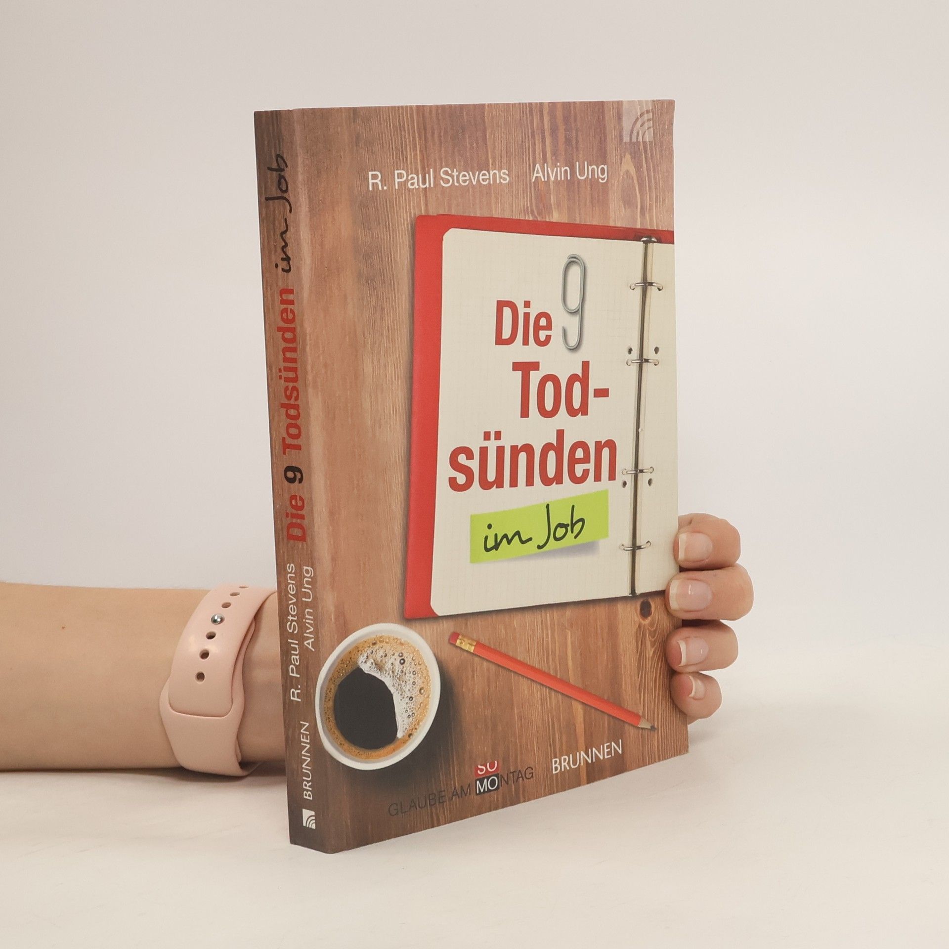 Friedemann Lux Die 9 Todsünden im Job
