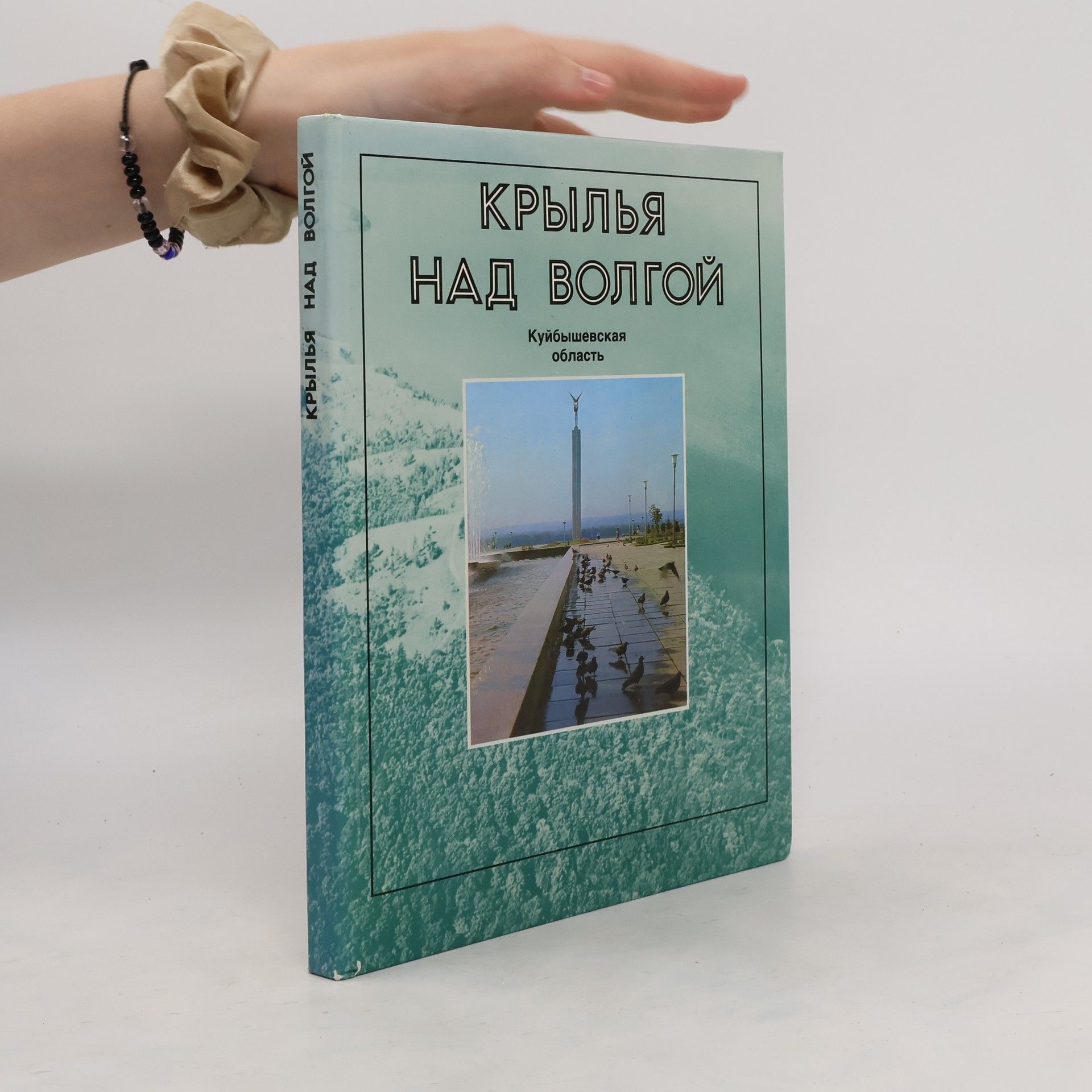 Autorenkollektiv Крылья над Волгой