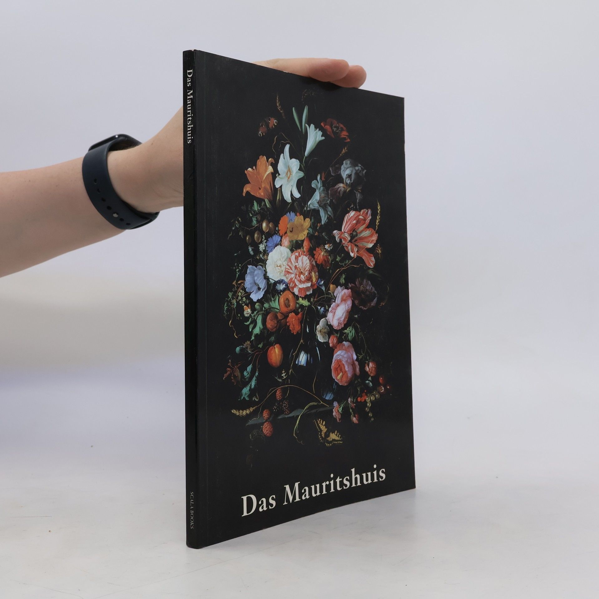 Ben Broos Das Mauritshuis