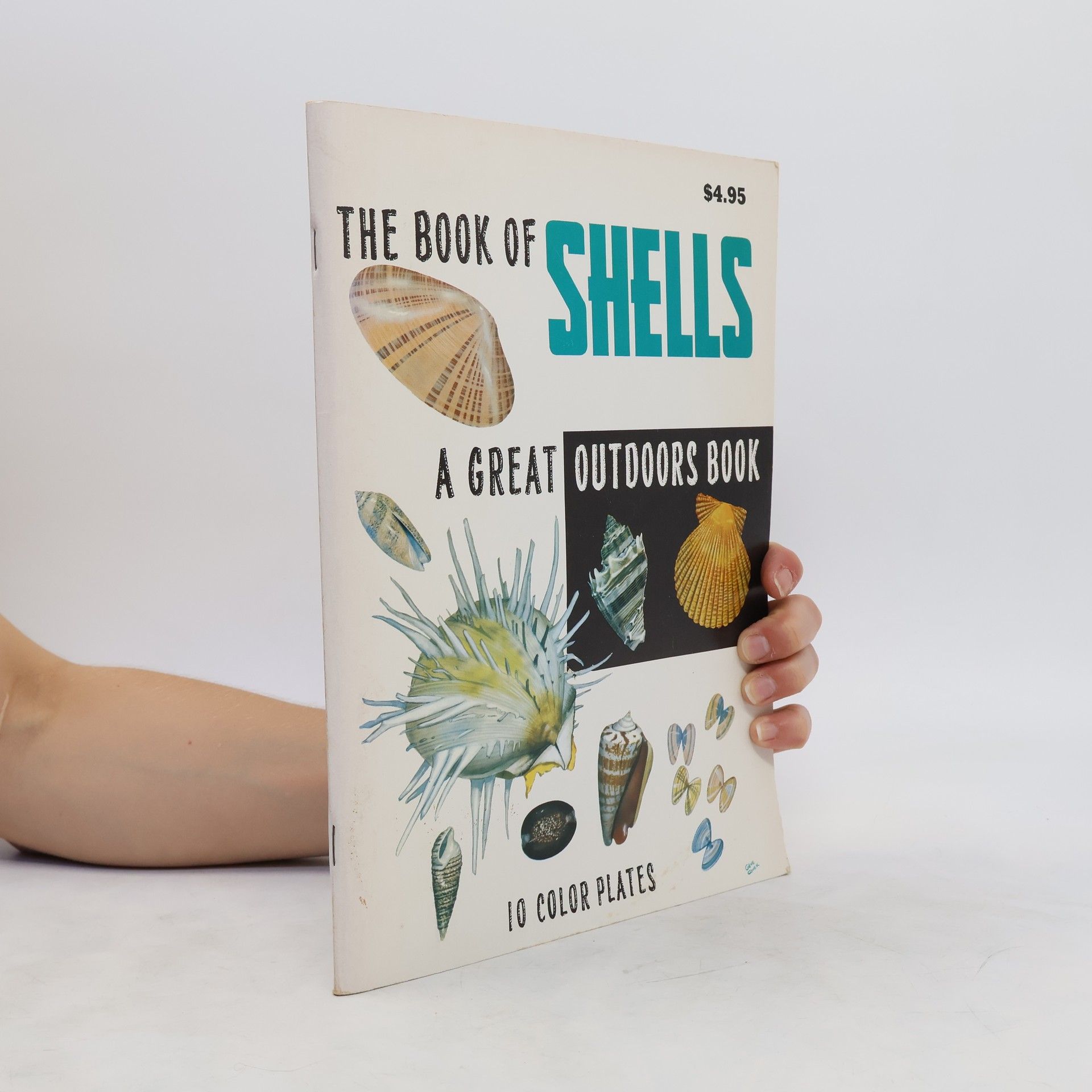 Lula Siekman Great Outdoors Book of Shells