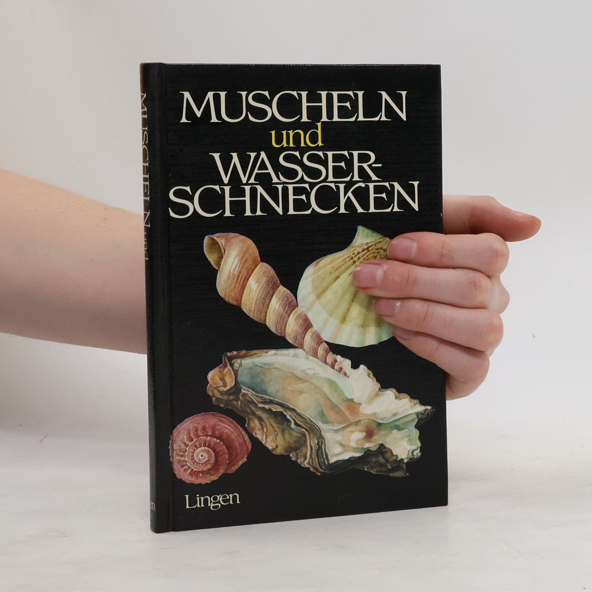 Jan Lellák Muscheln und Wasserschnecken