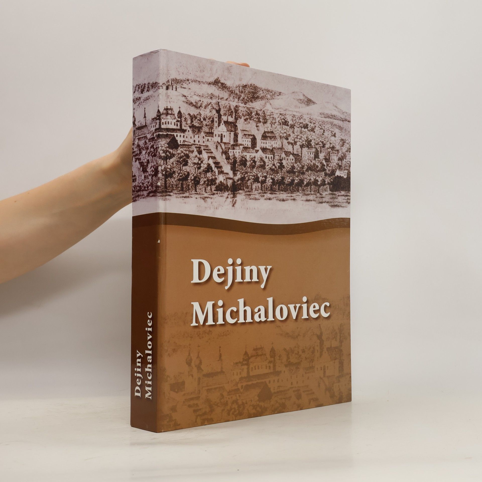 Vladimír Sekela Dejiny Michaloviec