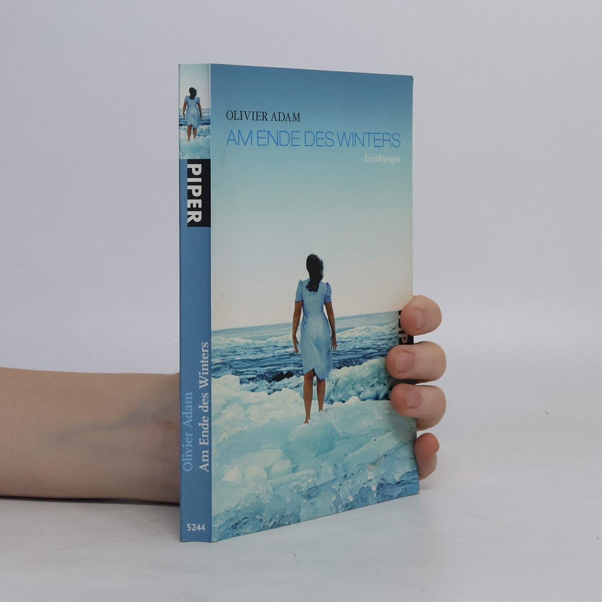 Olivier Adam Am Ende des Winters