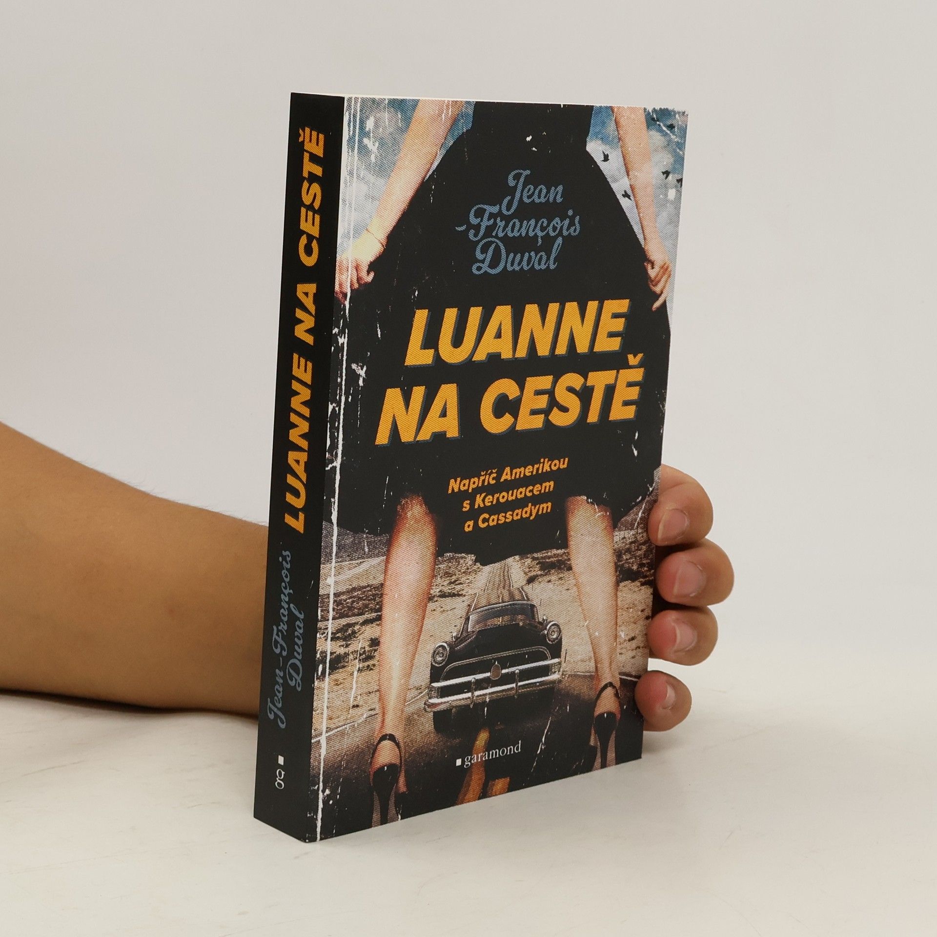 Tomáš Havel LuAnne na cestě : napříč Amerikou s Kerouacem a Cassadym
