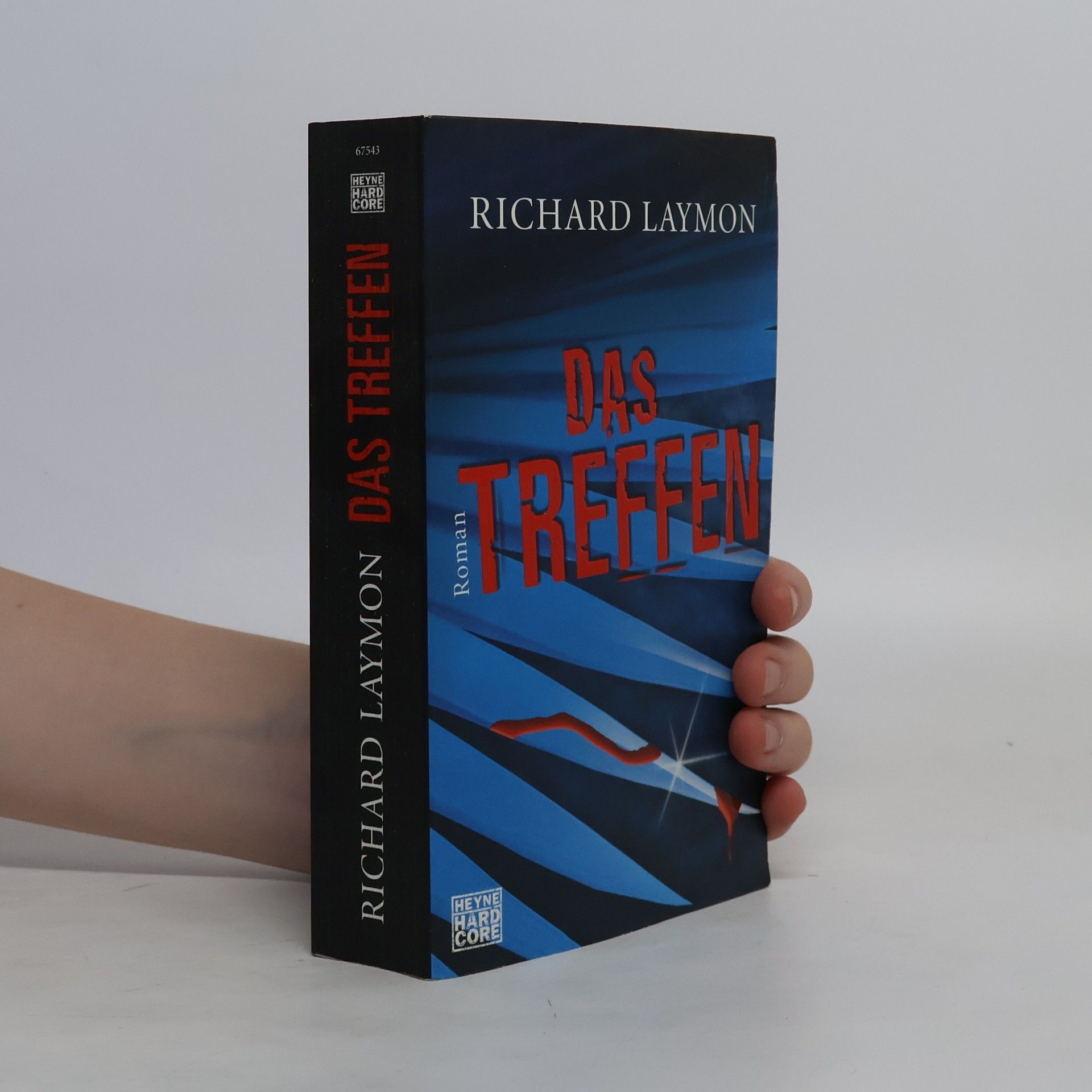 Richard Laymon Das Treffen