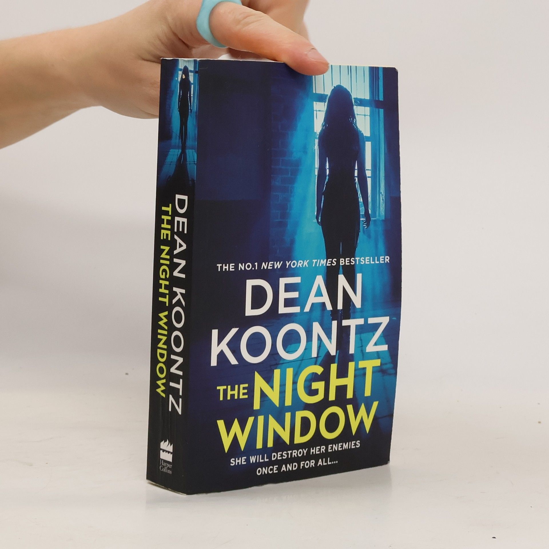 Dean R. Koontz The Night Window