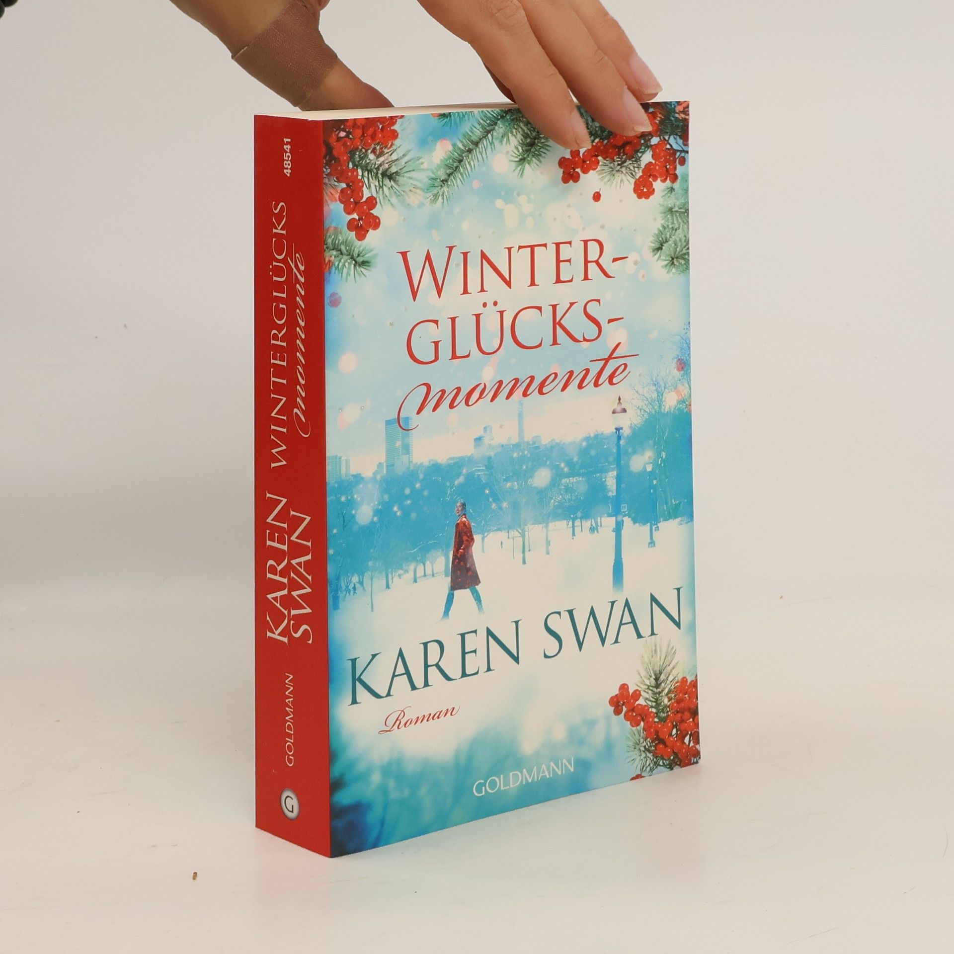 Karen Swan Winterglücksmomente