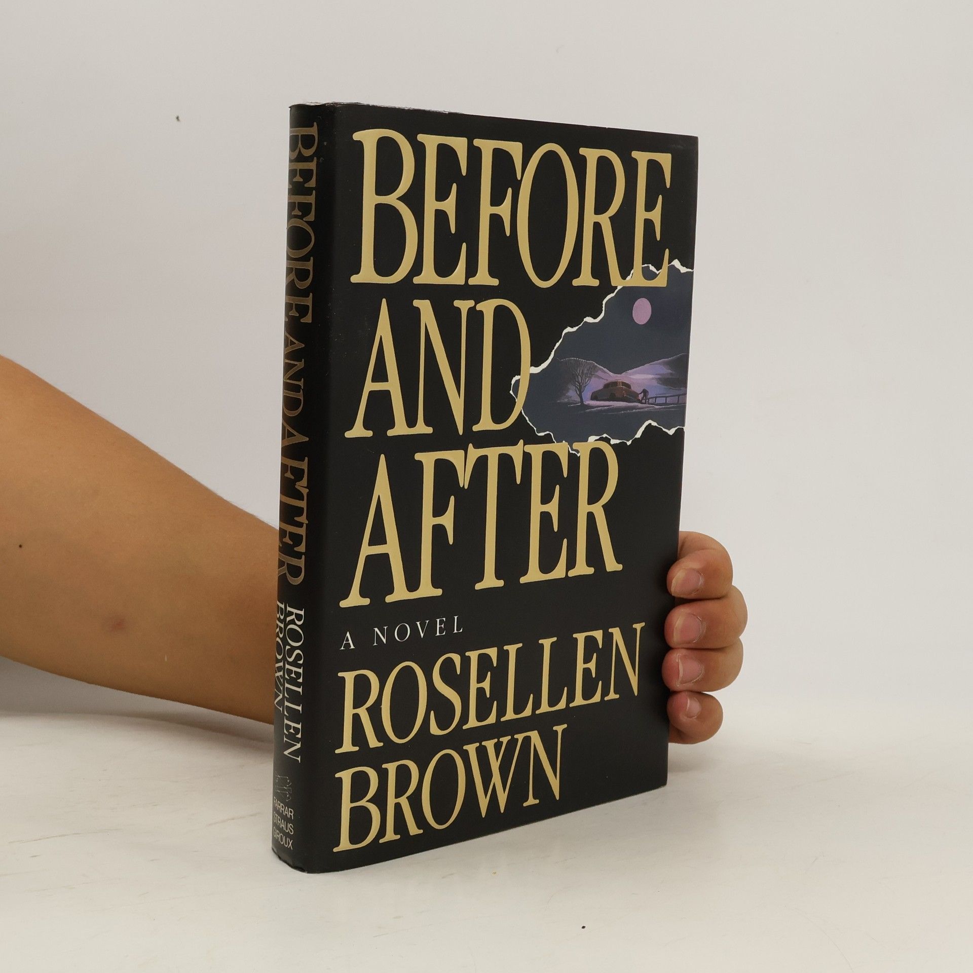 Rosellen Brown Before and After
